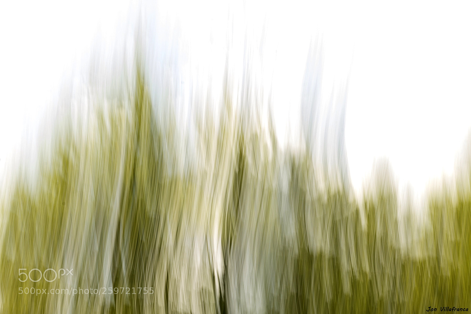 Canon EOS 70D sample photo. Naturaleza abstracta photography