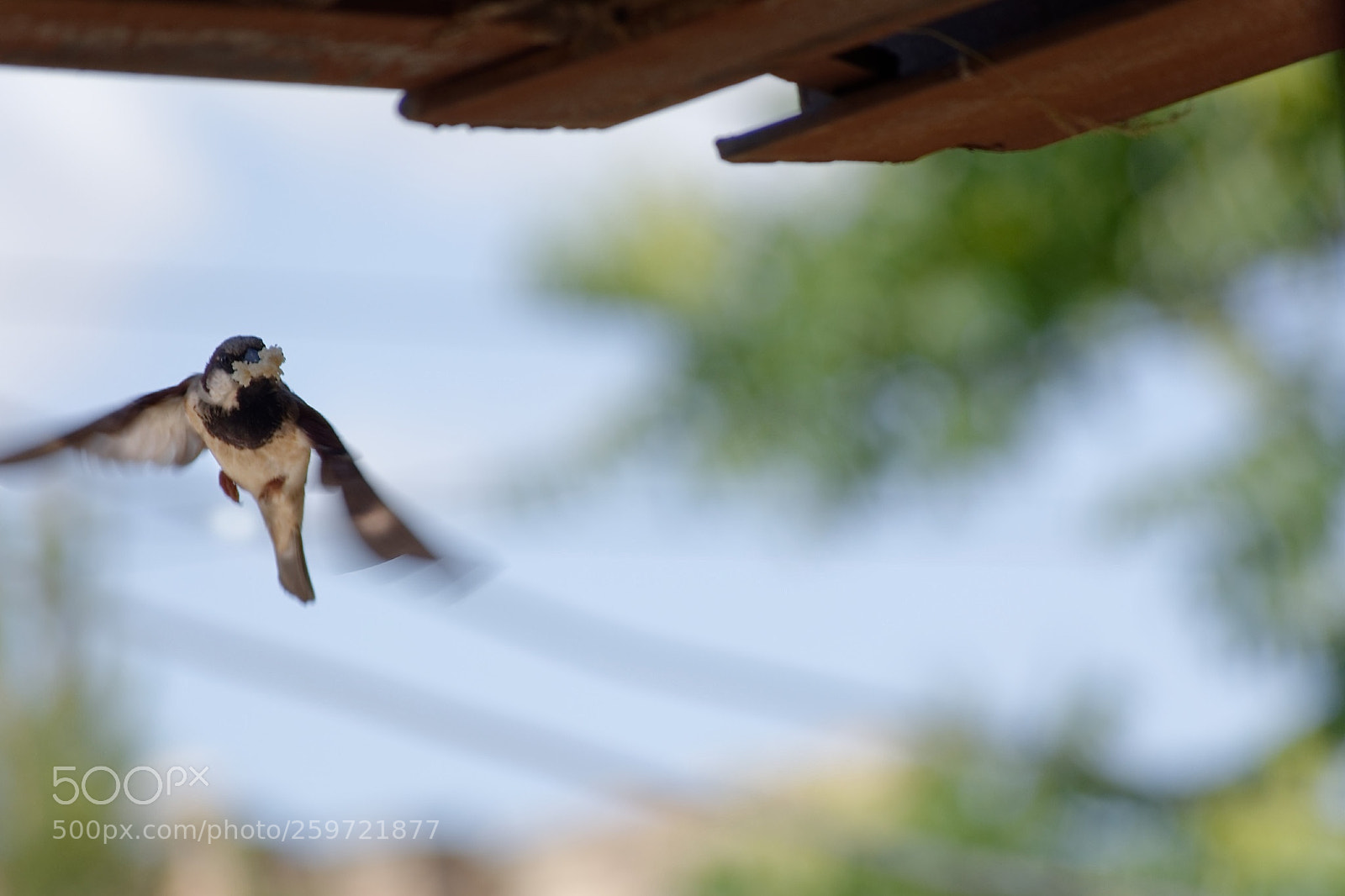 Nikon D5200 sample photo. Untitled photography
