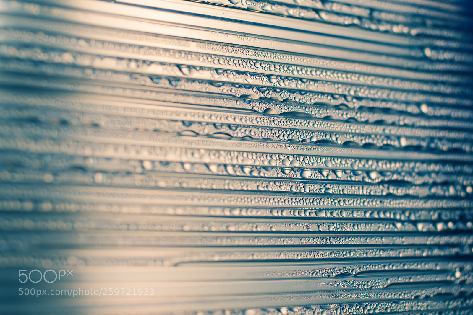 Nikon D800 sample photo. Water drops at gradient photography