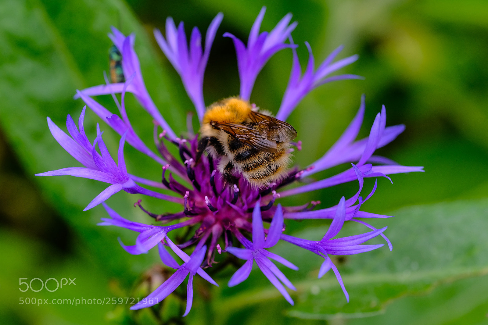 Fujifilm X-T2 sample photo. Sie regt sich nicht photography