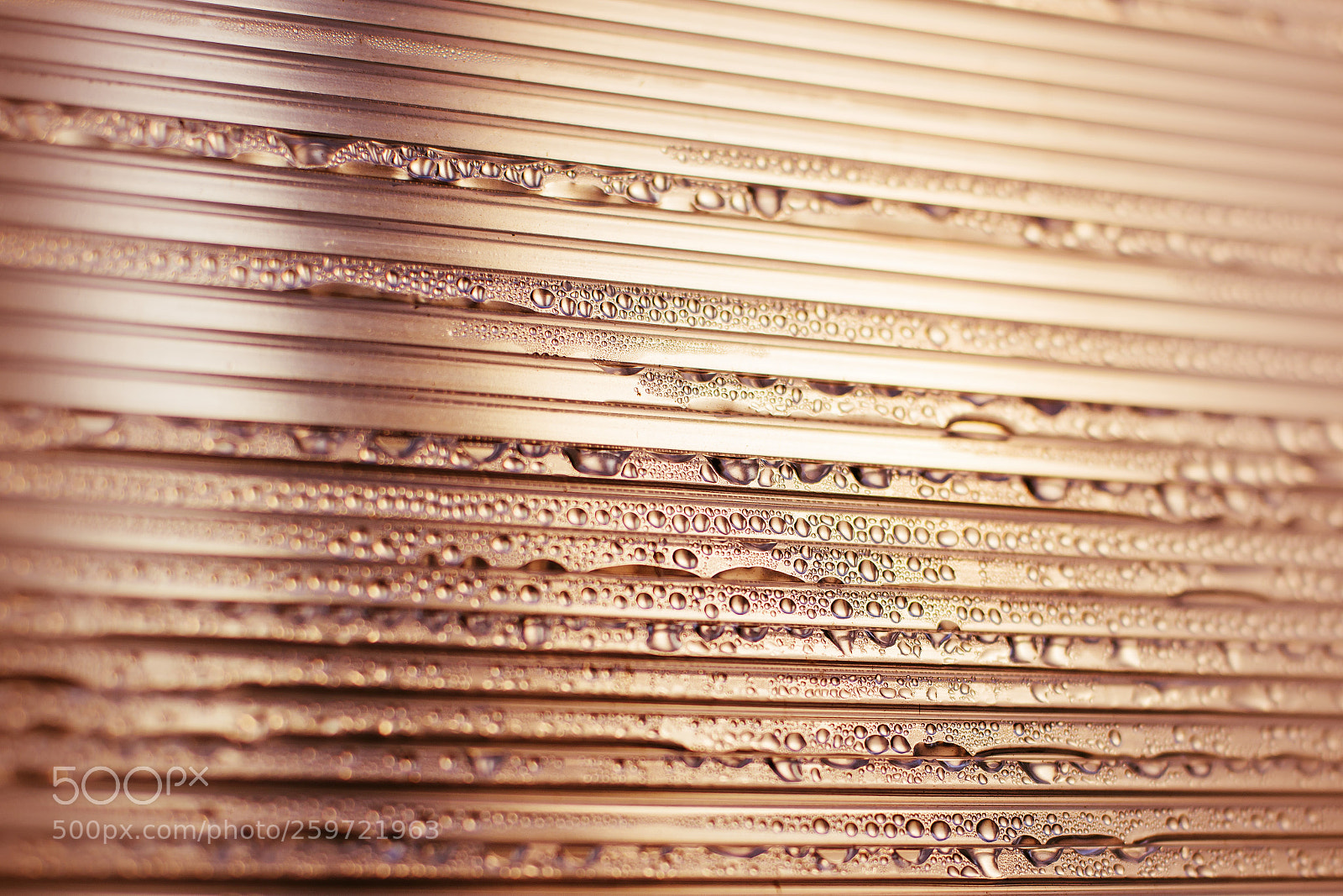 Nikon D800 sample photo. Water drops at gradient photography