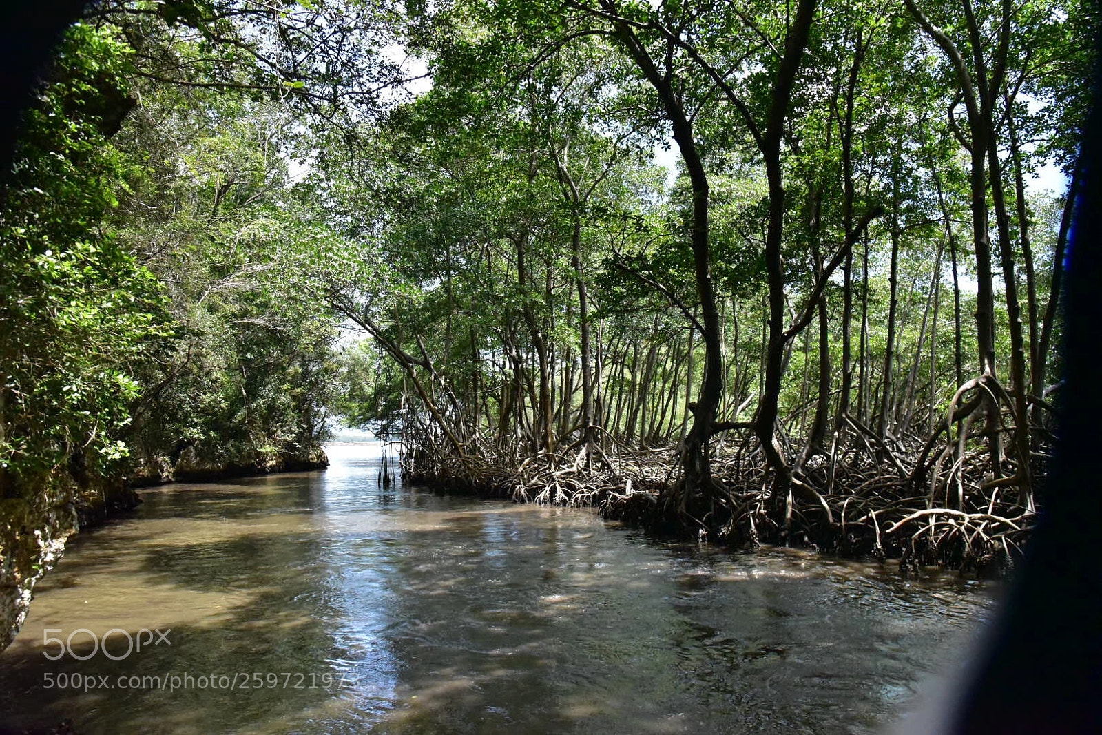 Nikon D750 sample photo. Los haitises photography
