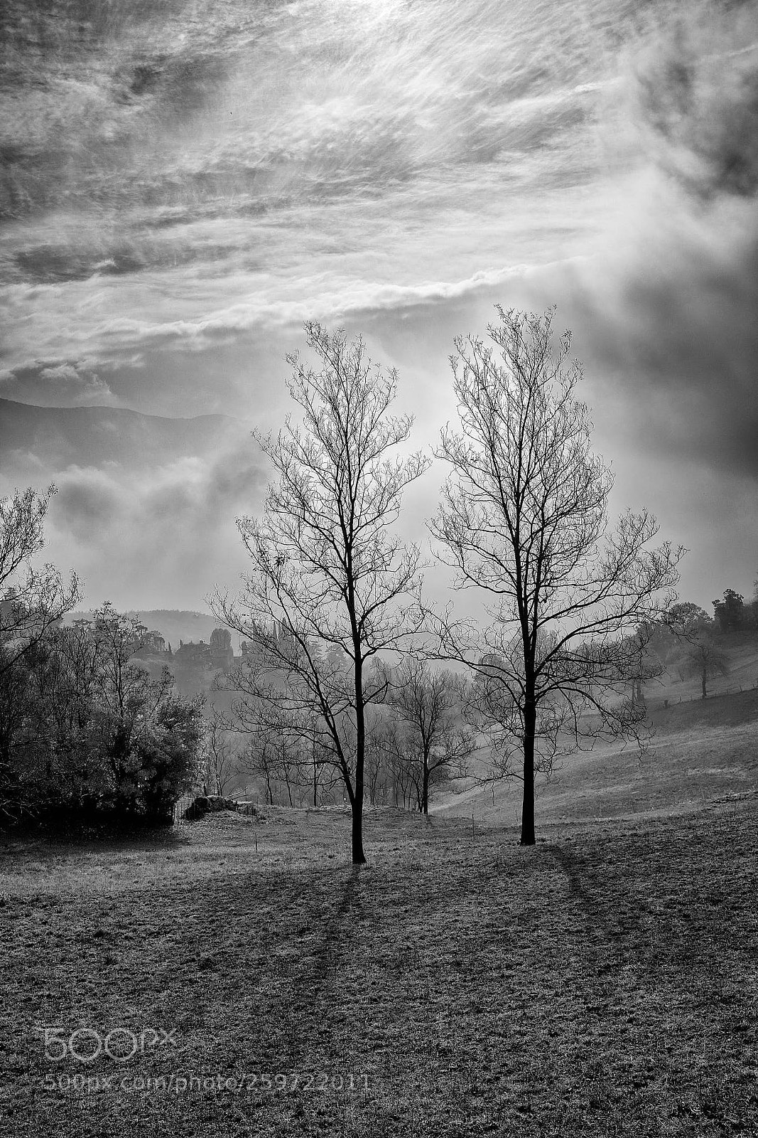Sony a7R II sample photo. Mid afternoon ii photography