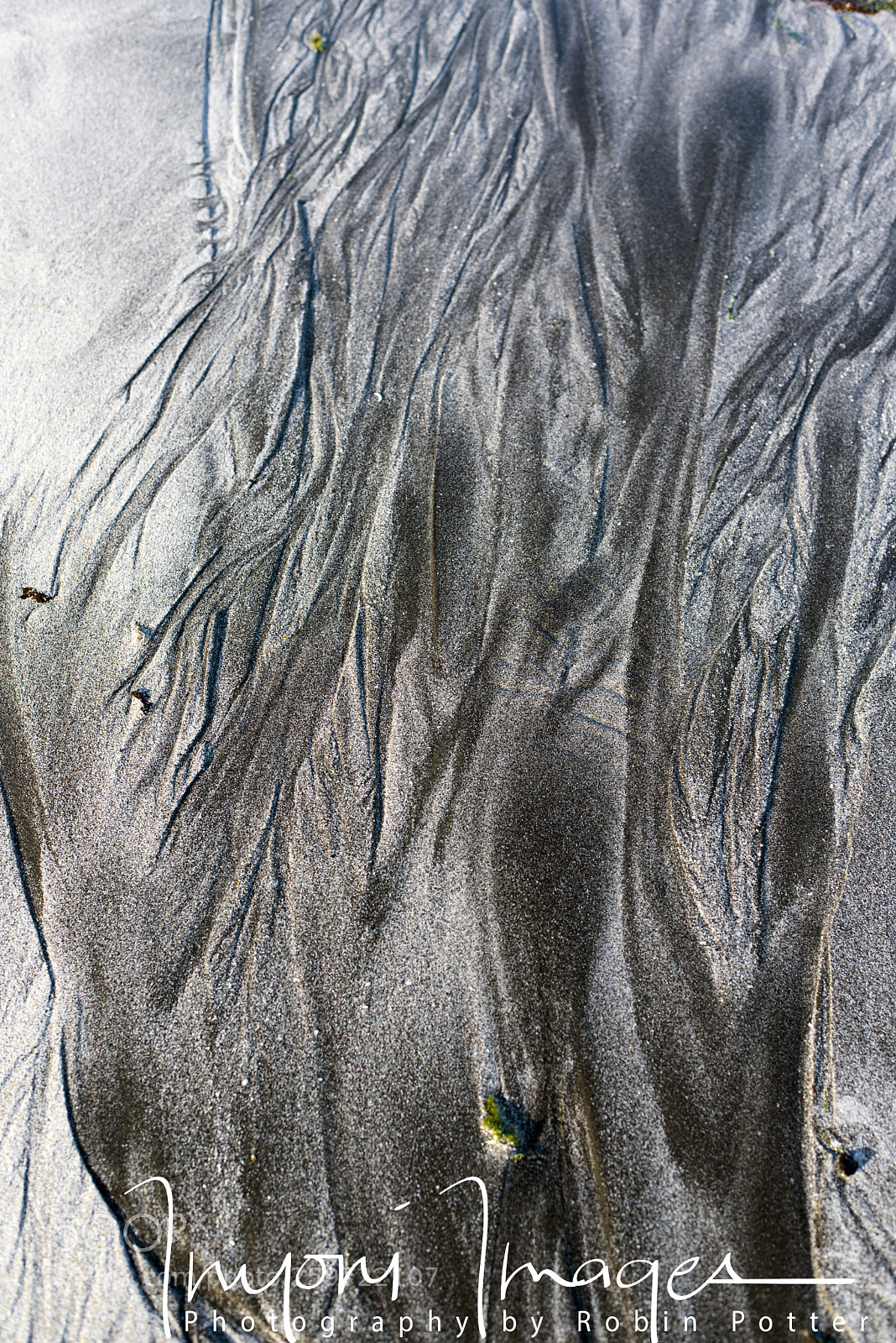 Nikon D750 sample photo. Sand art photography