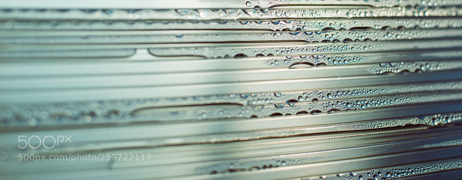 Nikon D800 sample photo. Water drops at gradient photography