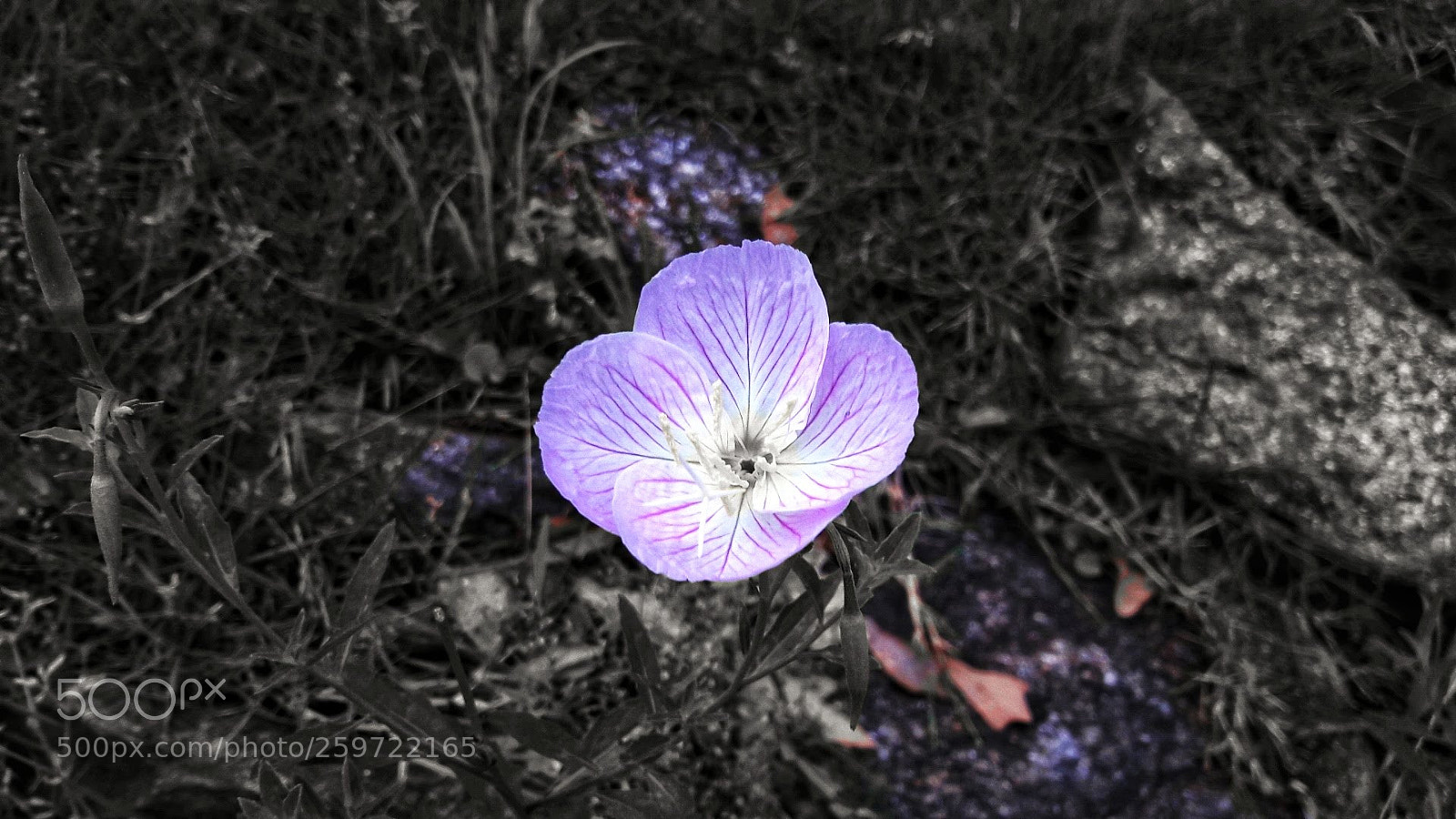 Samsung Galaxy A5(2016) sample photo. Roadside colors photography