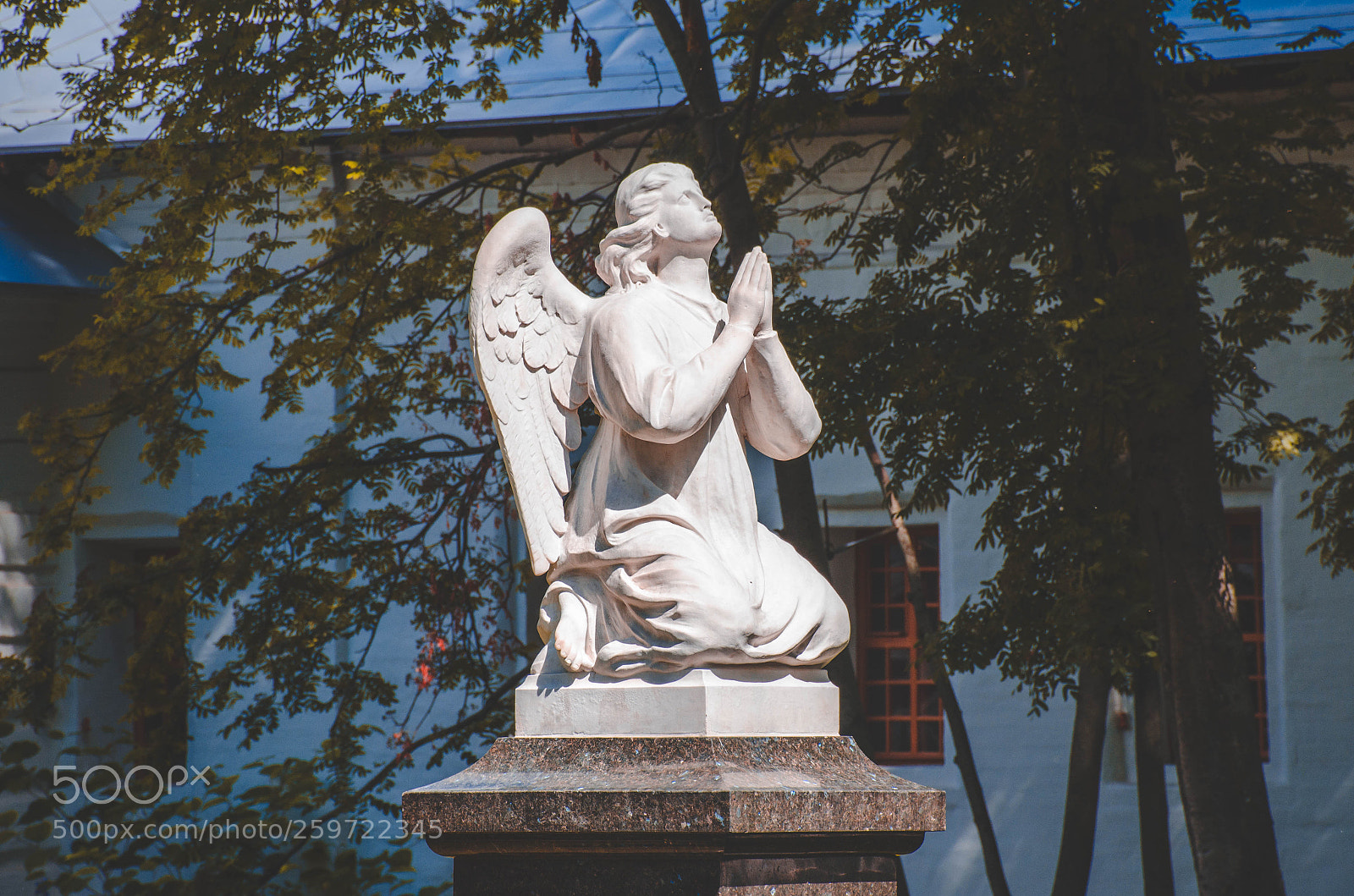 Nikon D7000 sample photo. Angel photography