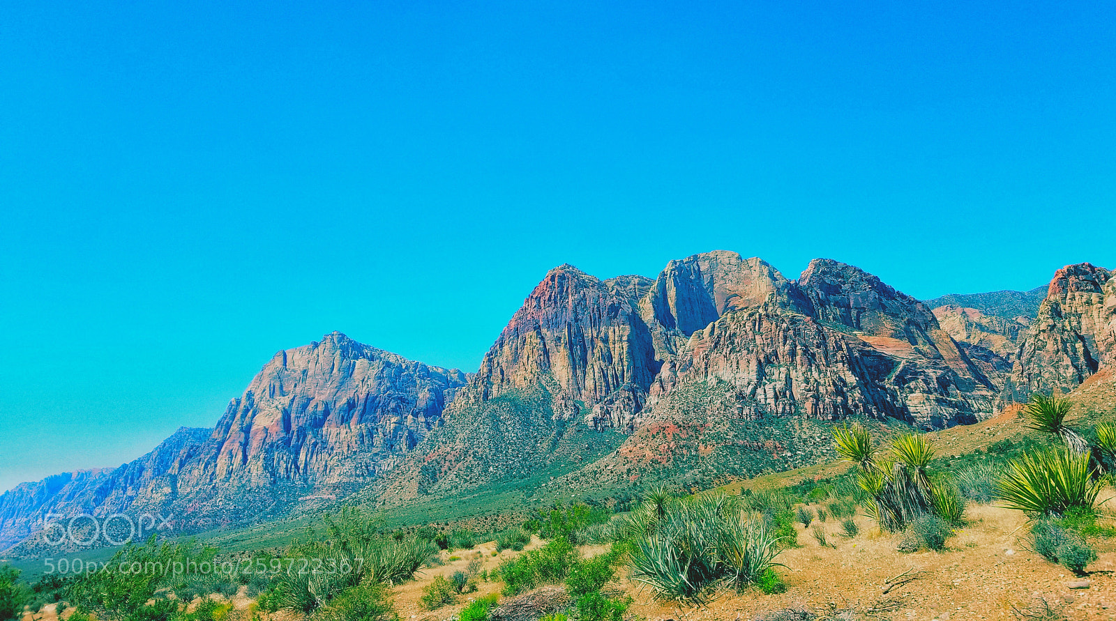 Samsung Galaxy S8 sample photo. Panoramic view photography