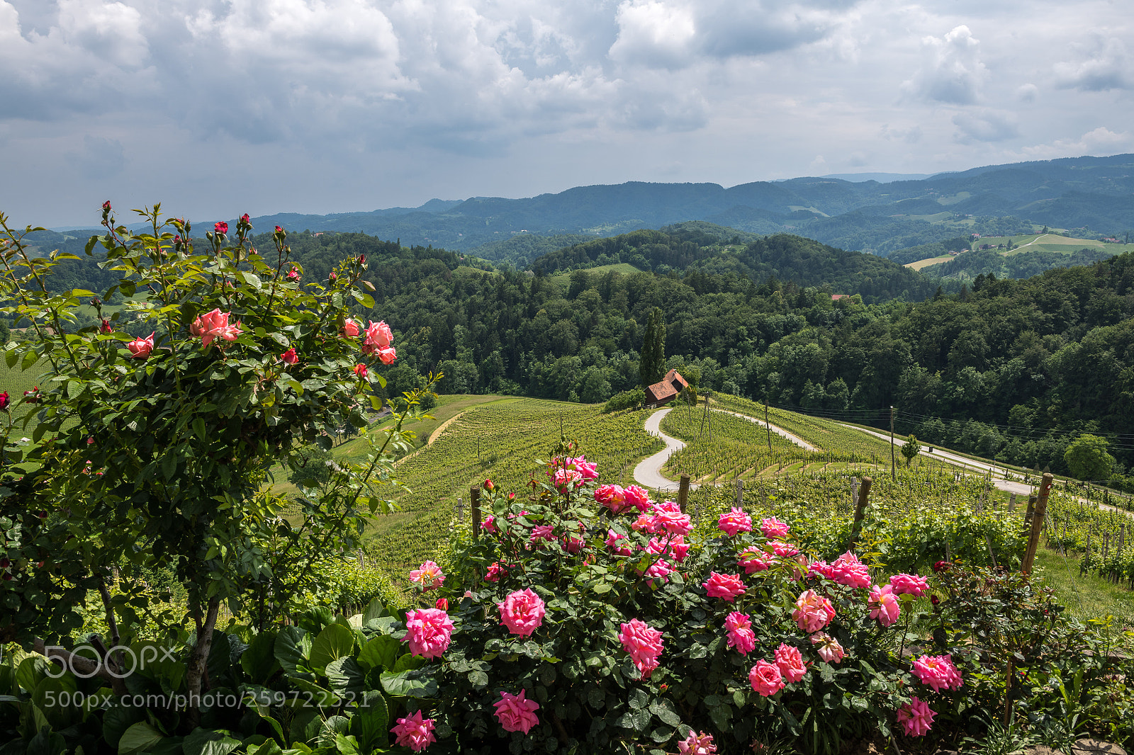 Nikon D850 sample photo. Drive with love photography