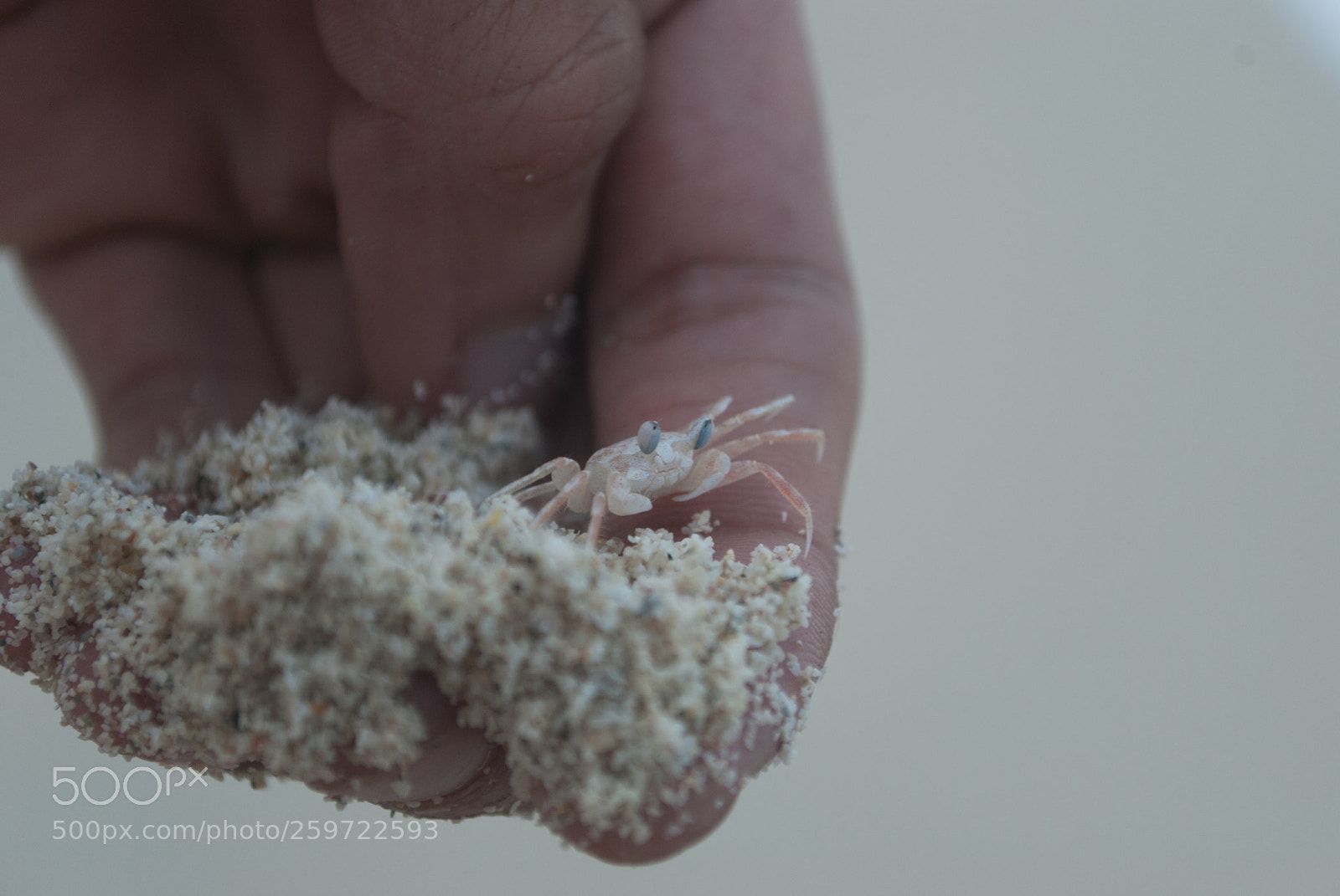 Nikon D60 sample photo. Looking the sea photography