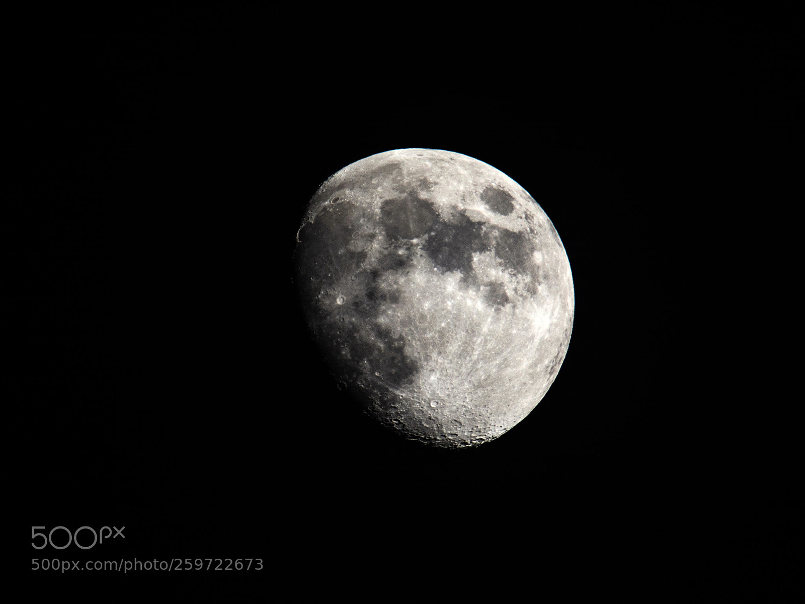 Nikon D7100 sample photo. Mond photography
