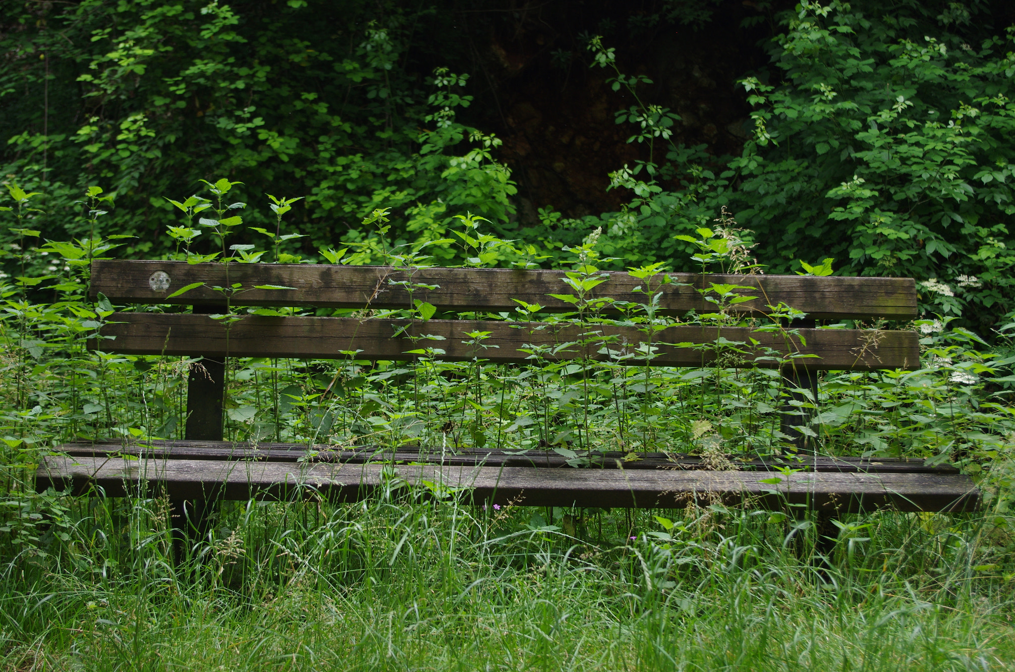 Pentax K-5 sample photo. Abra photography