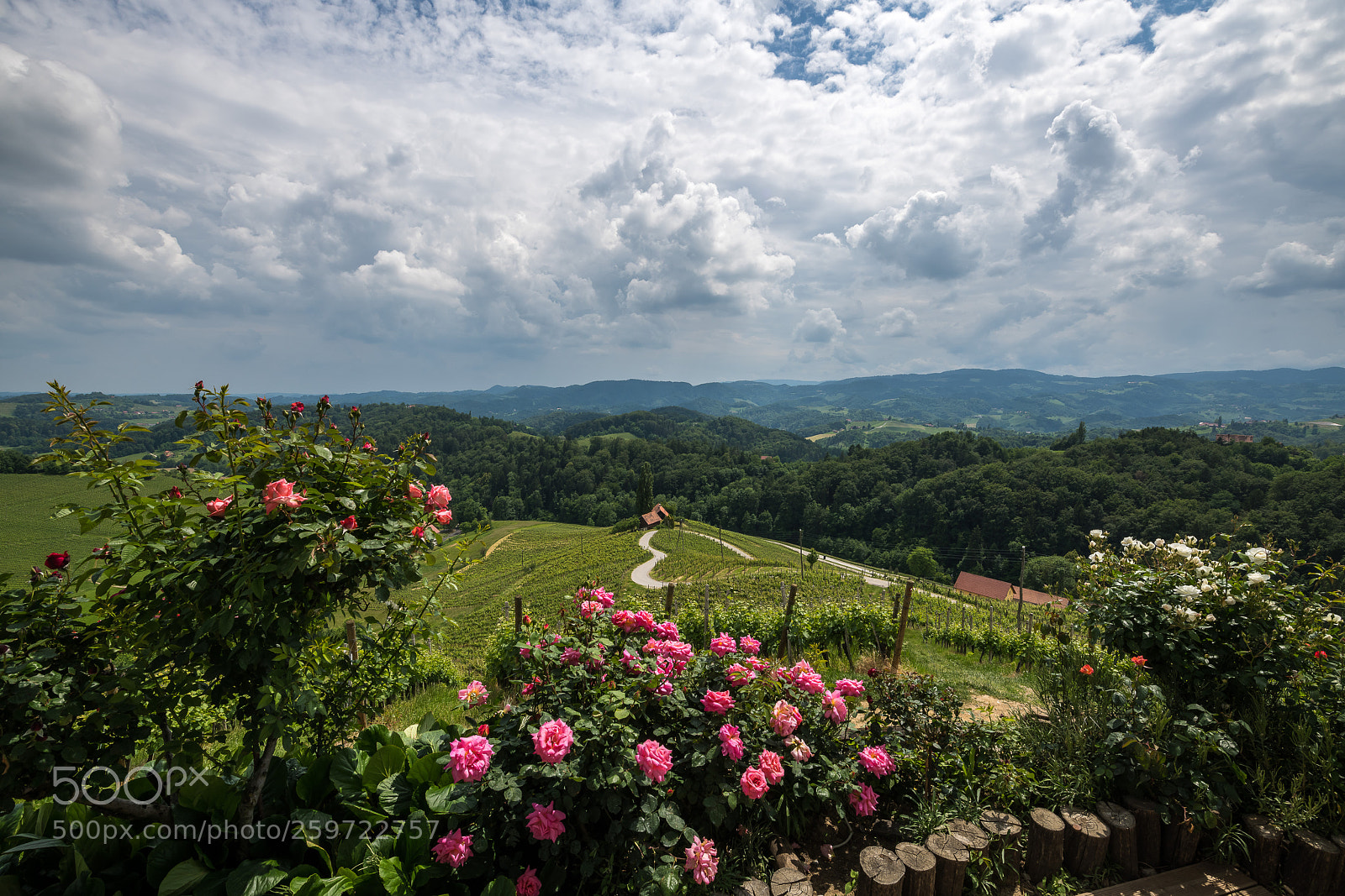 Nikon D850 sample photo. Drive with love photography