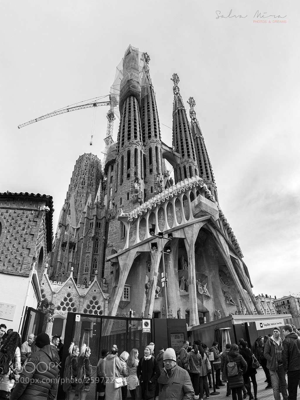 Sony a7 II sample photo. Sagrada família photography