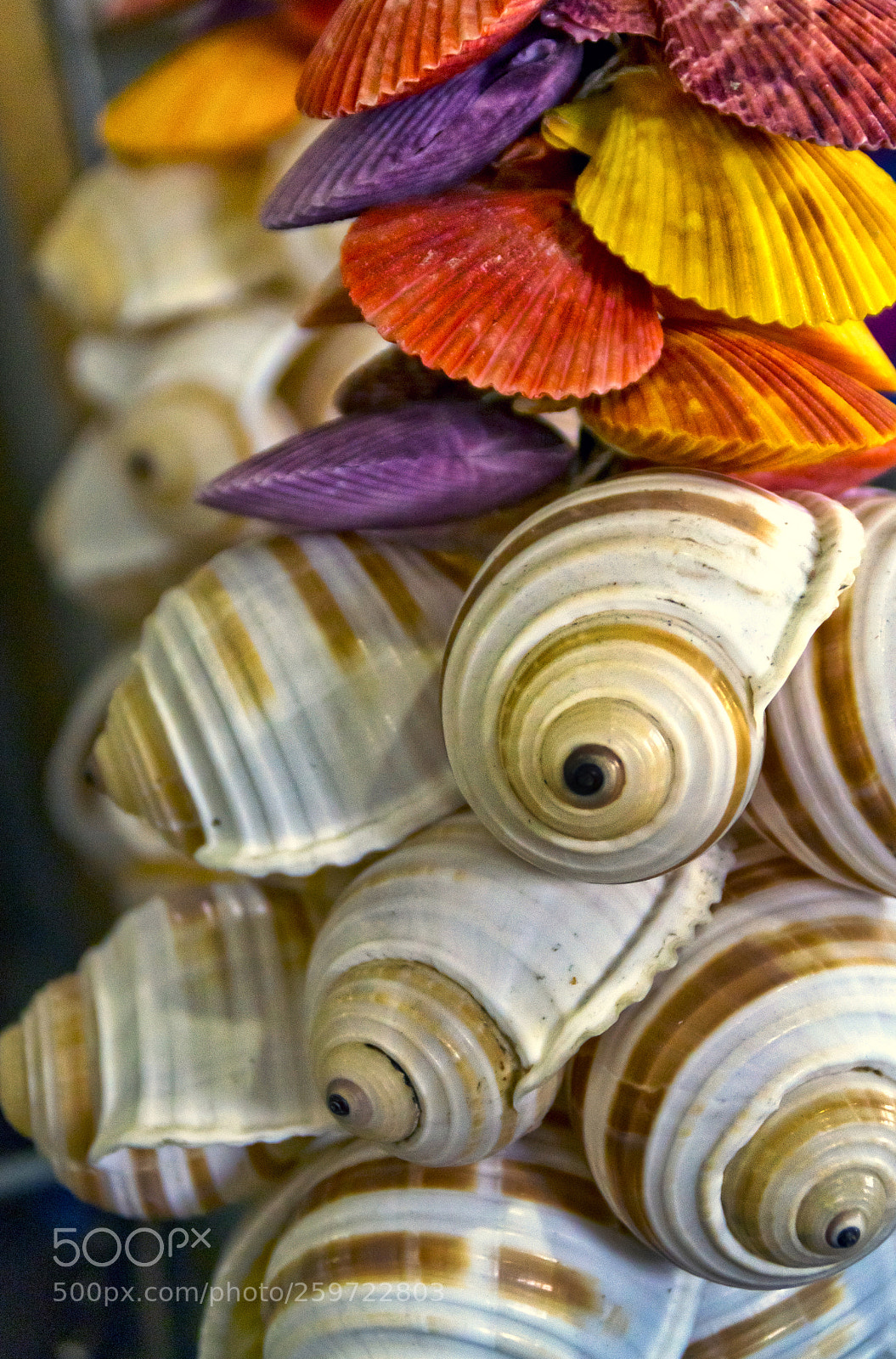 Nikon D3100 sample photo. Limassol cafe photography