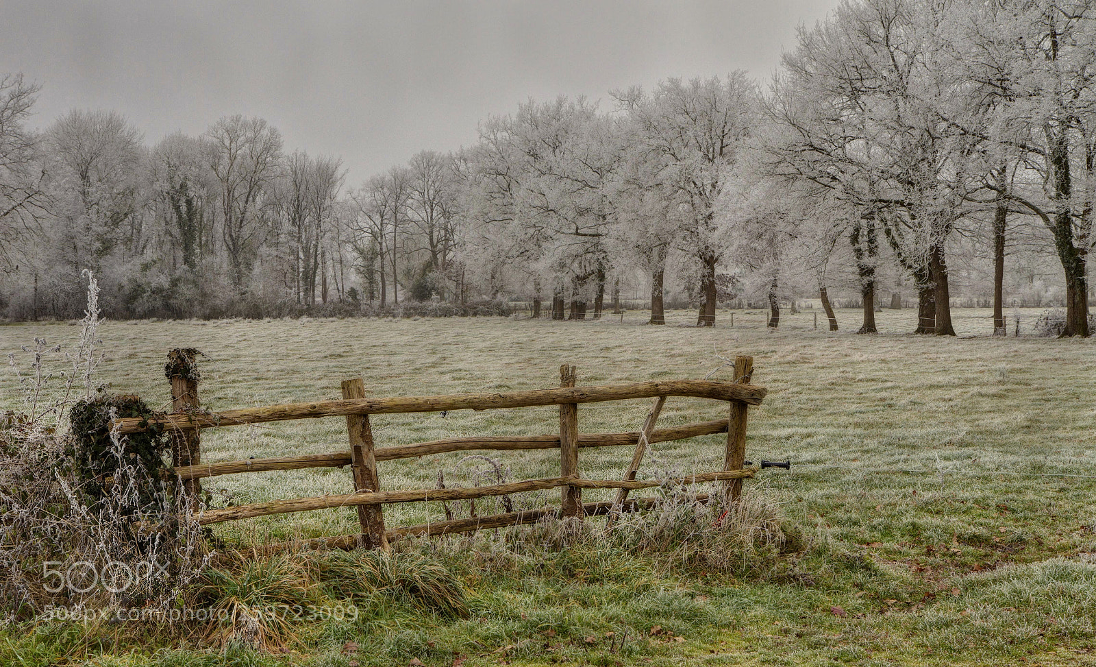 Canon EOS 7D sample photo. Barriere photography