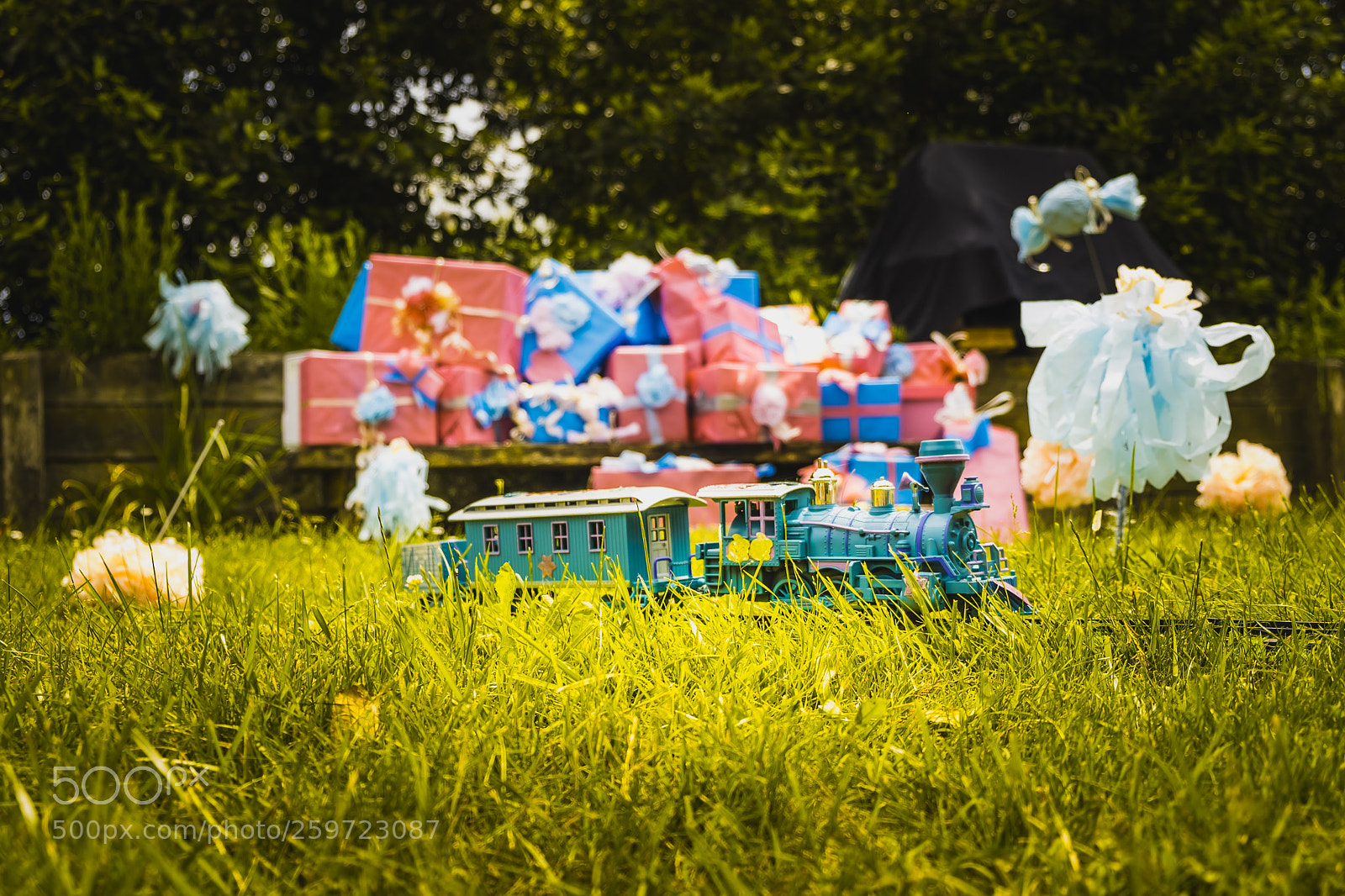 Fujifilm X-T2 sample photo. Train in wonderland 1 photography