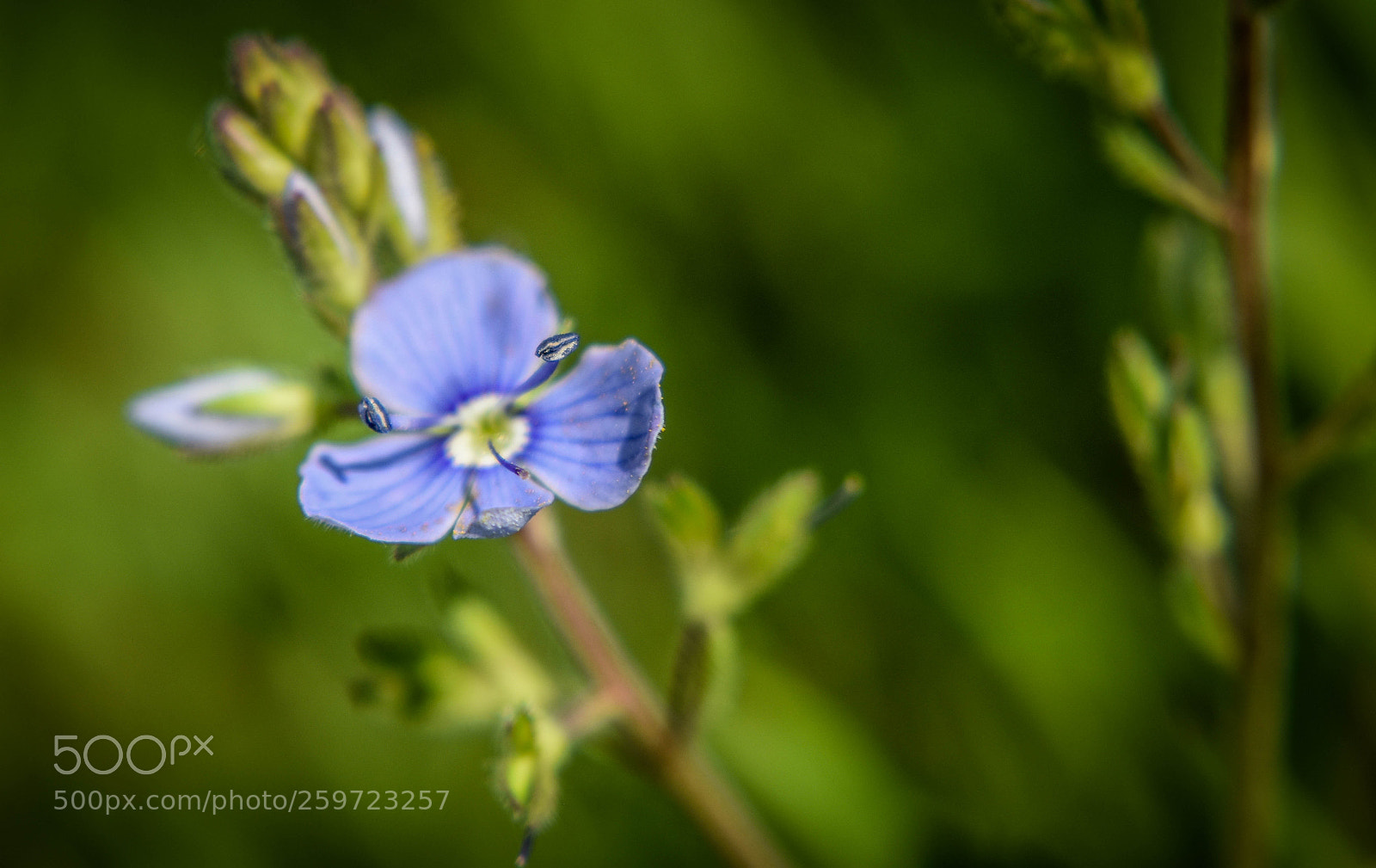 Nikon D5500 sample photo. F14 photography