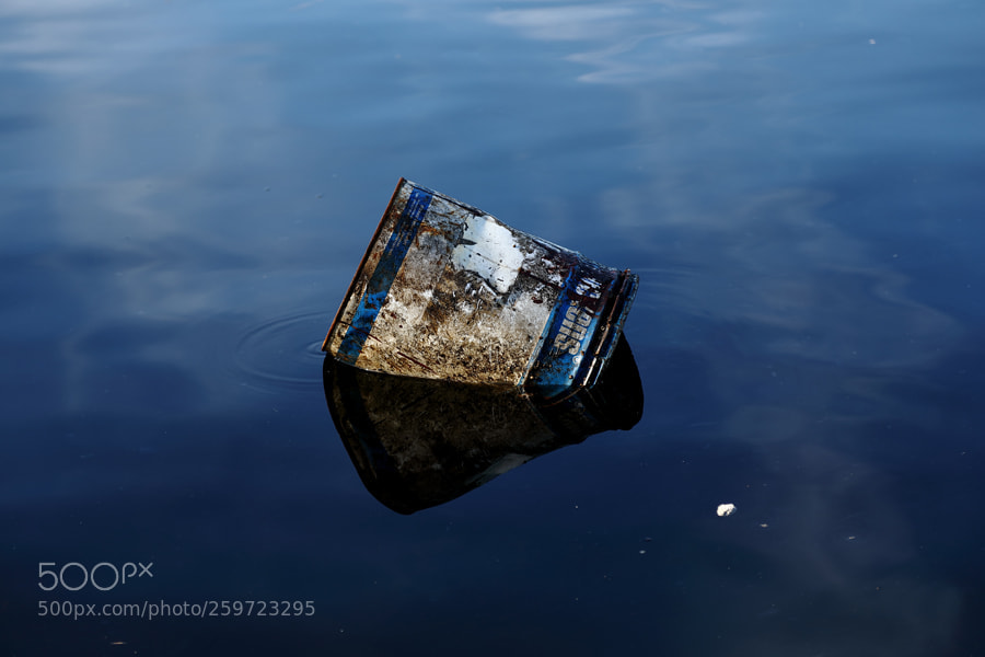 Canon EOS 5D Mark IV sample photo. A photography
