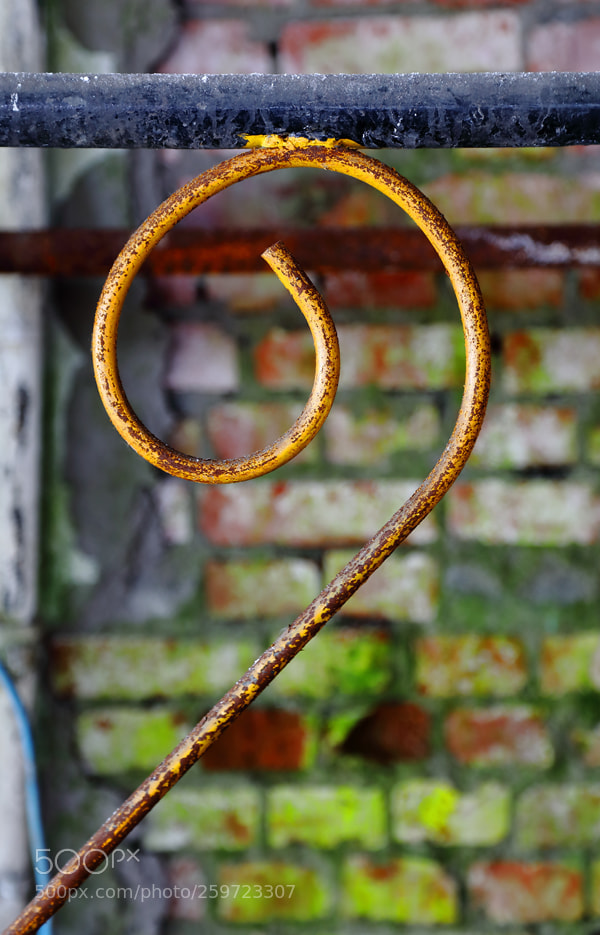 Canon EOS 5D Mark IV sample photo. Untitled photography
