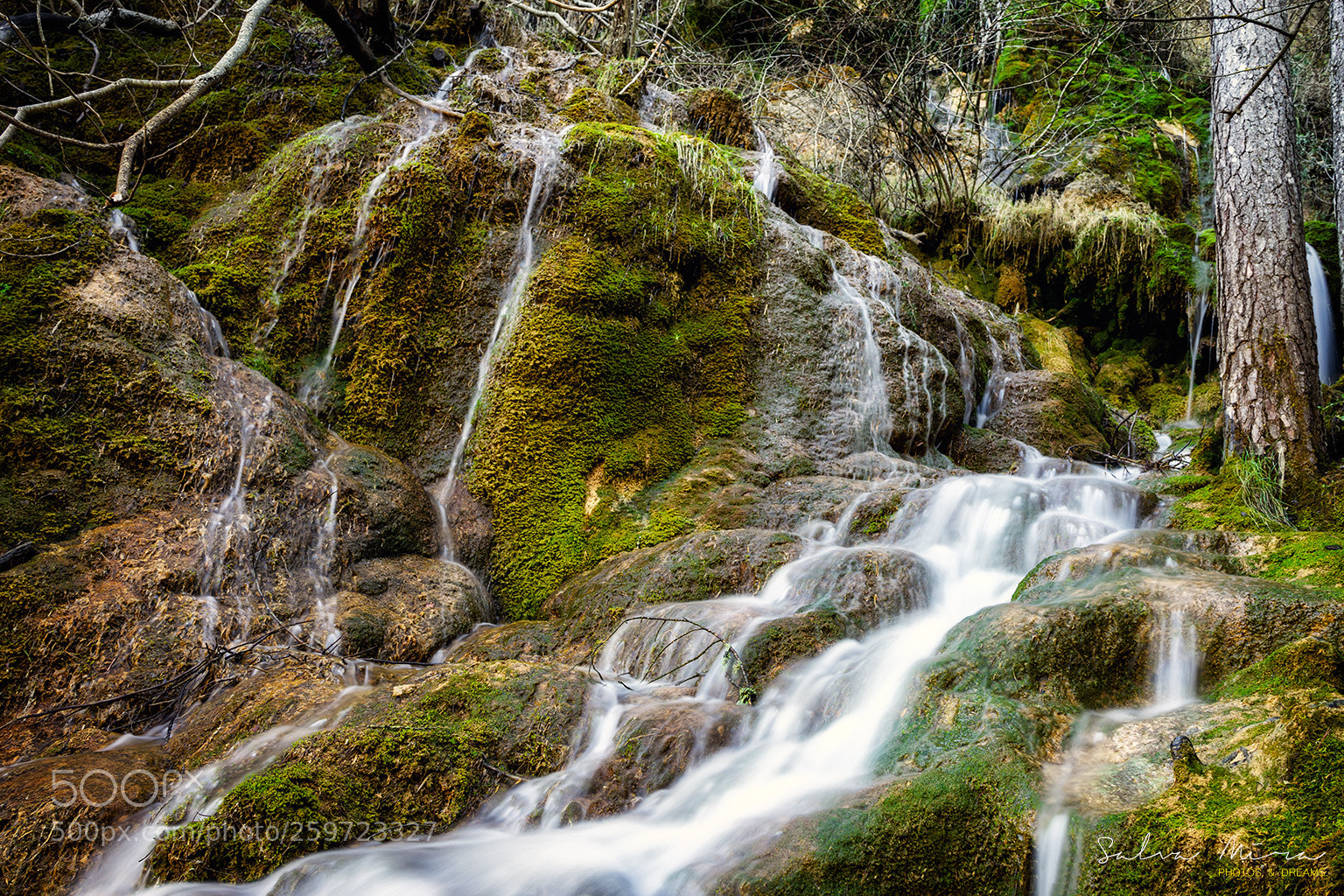 Sony a7 II sample photo. Naixement de riu cuervo photography