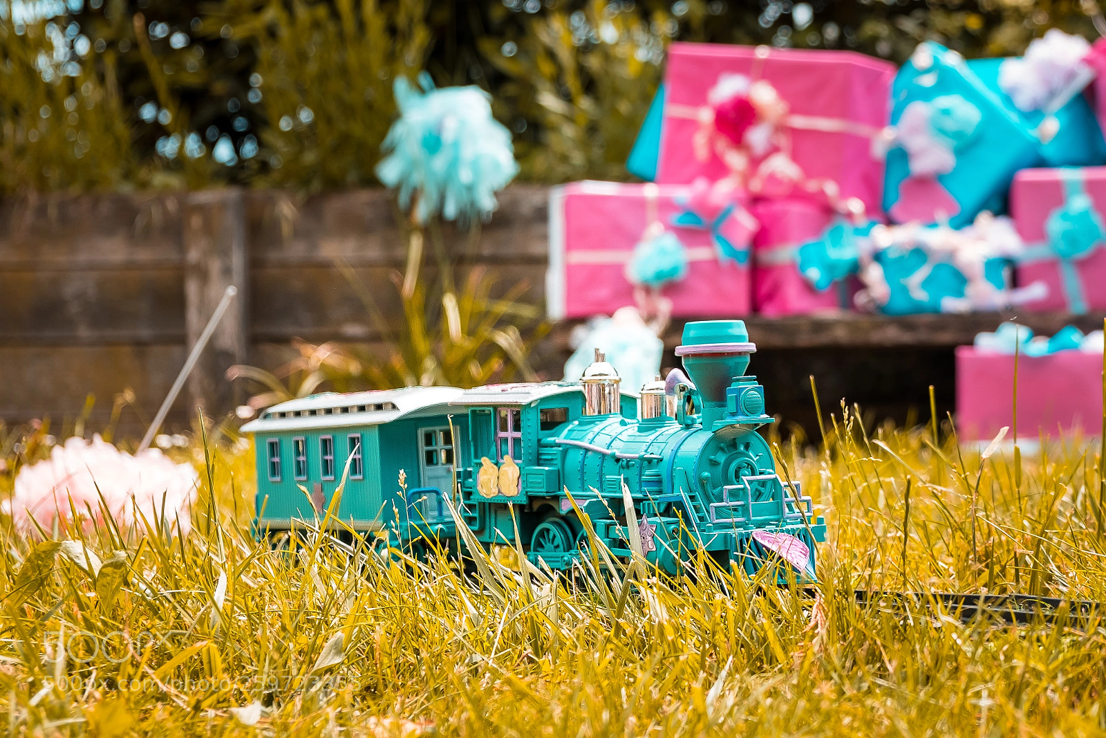 Fujifilm X-T2 sample photo. Train in wonderland 2 photography