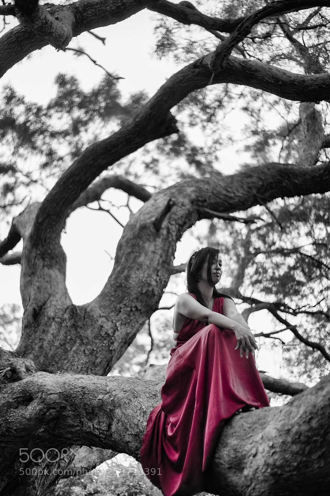 Canon EOS 5D Mark II sample photo. Princesse écarlate iv photography