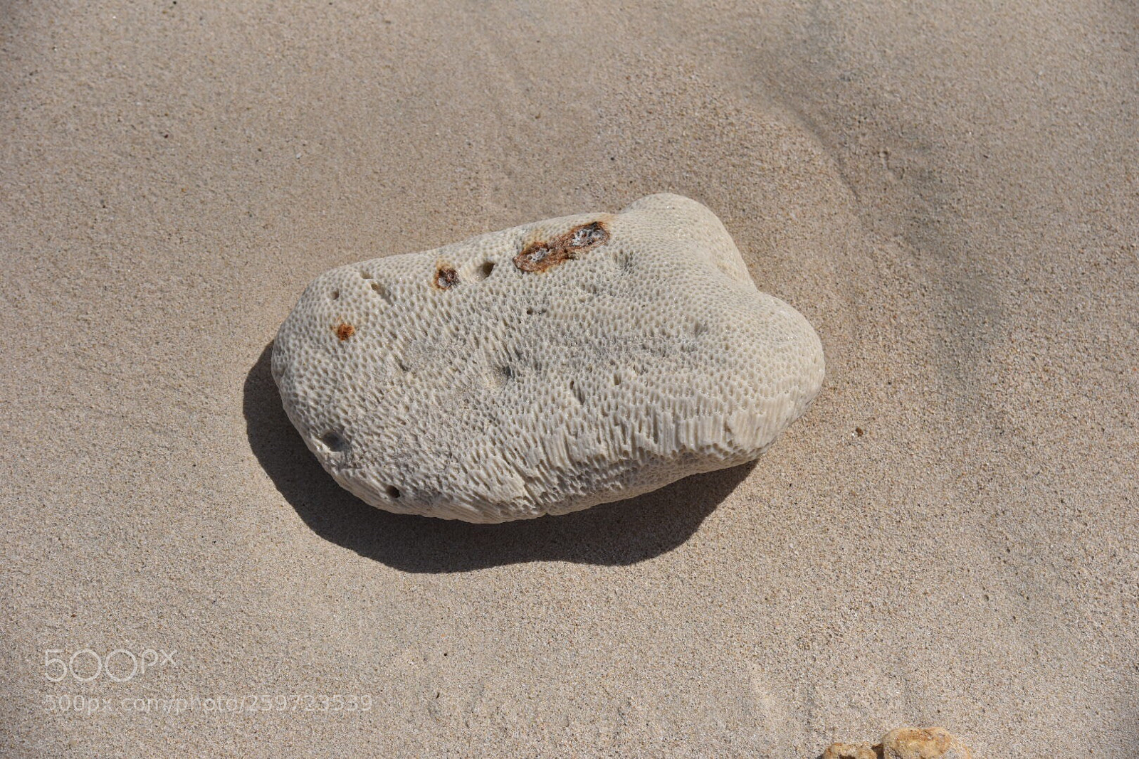 Nikon D750 sample photo. Cayo levantado photography