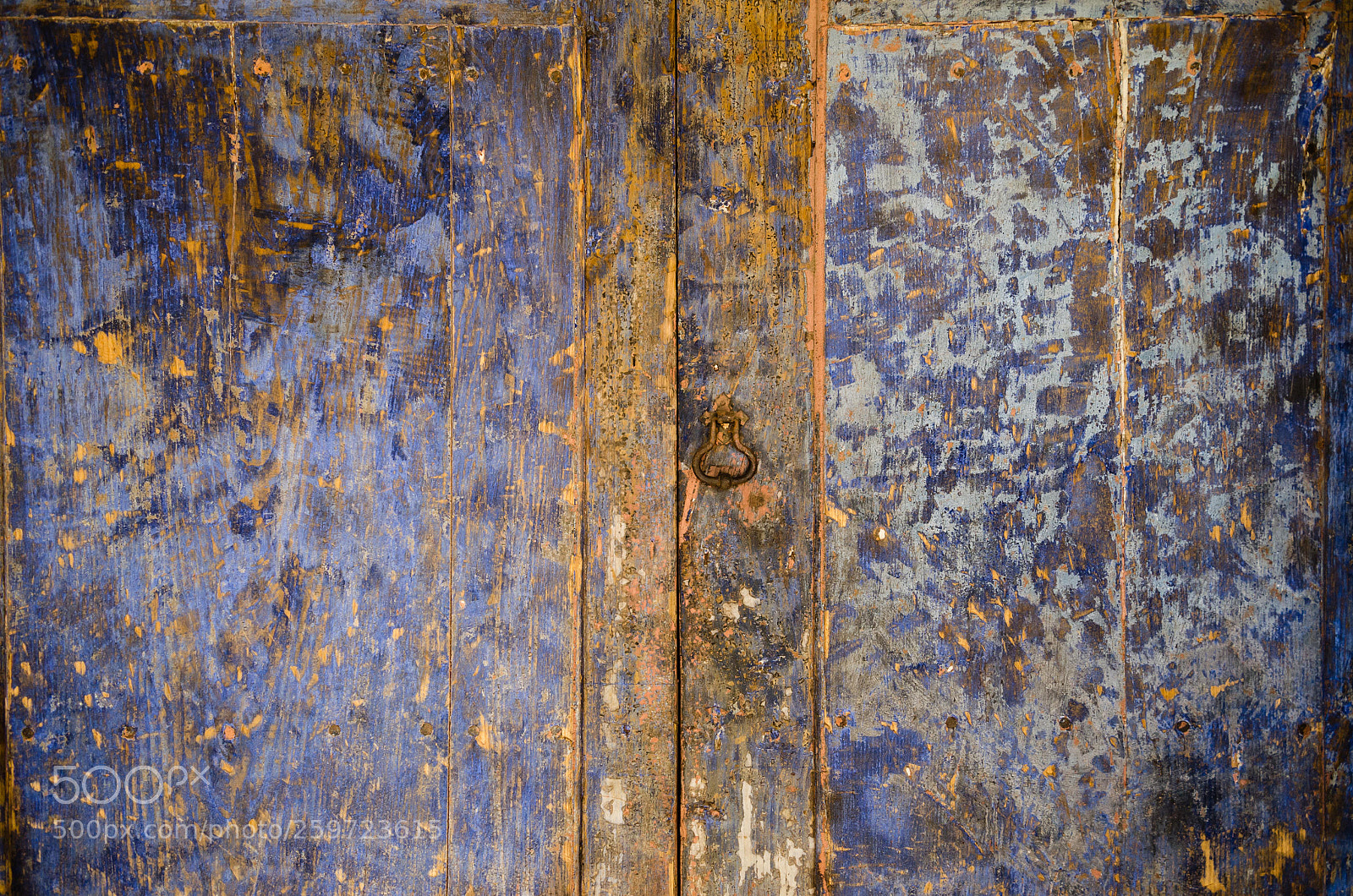 Nikon D5100 sample photo. August, afternoon photography