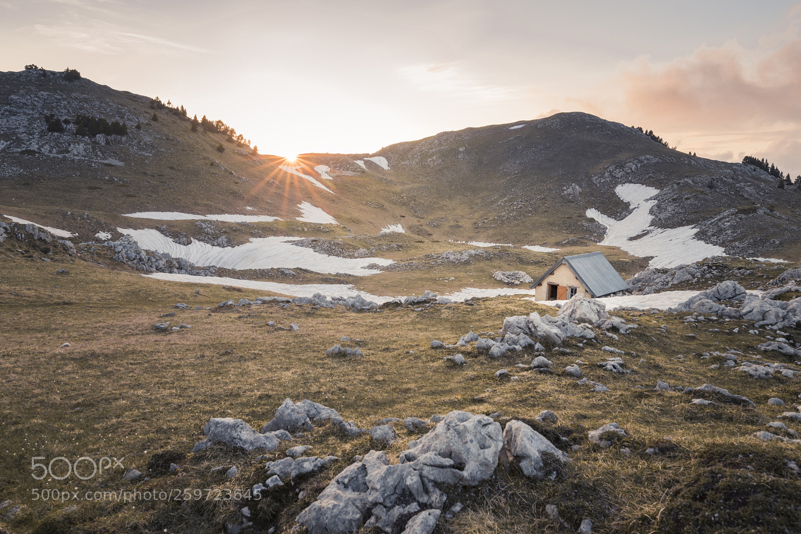 Nikon D750 sample photo. The refuge photography