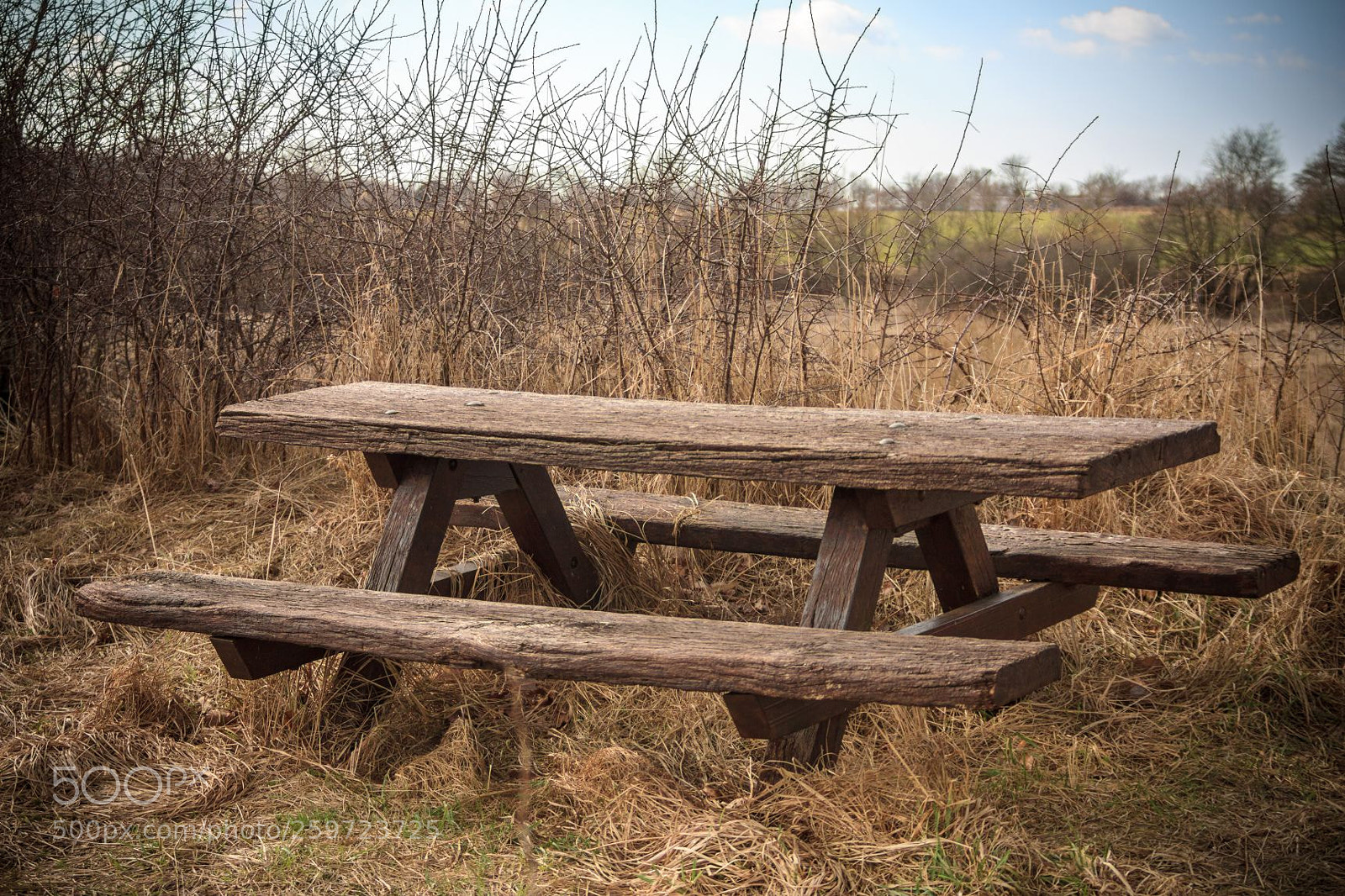 Canon EOS 7D sample photo. Bank an der treene photography