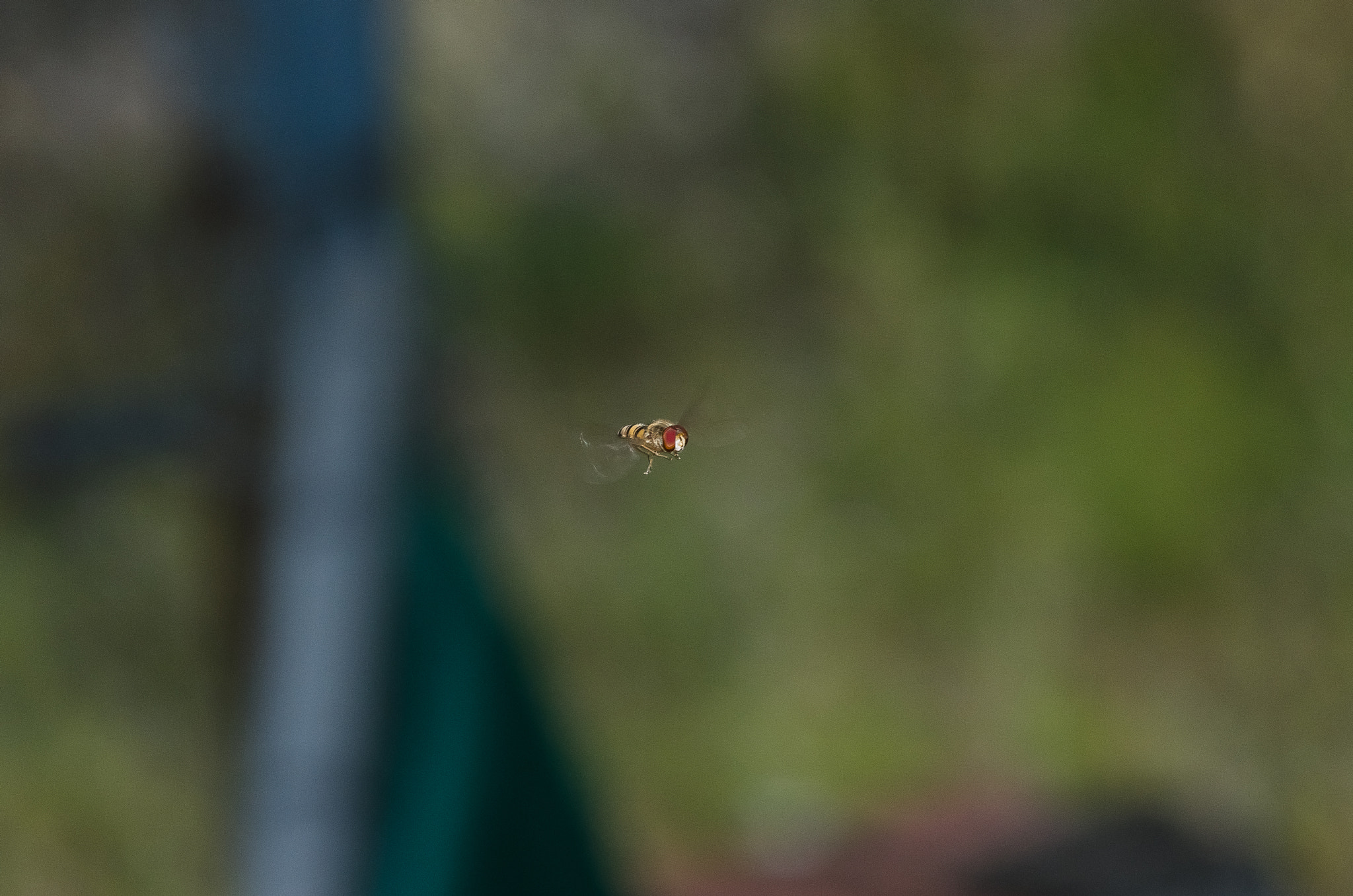 Pentax K-5 IIs sample photo. Cernidora photography