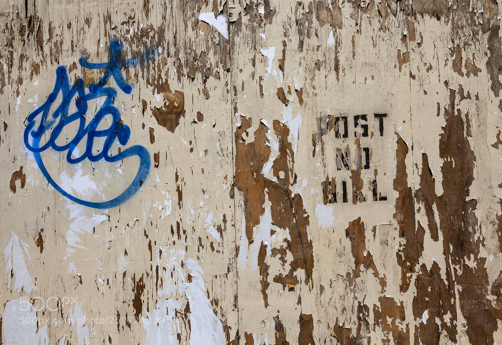 Canon EOS 5D Mark II sample photo. Peeling paper cracked and photography