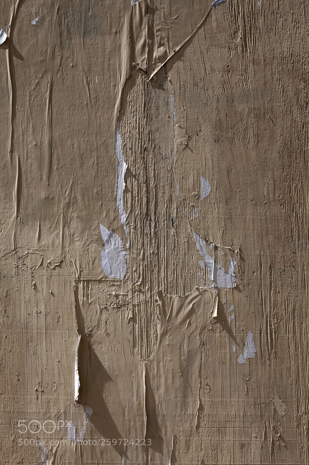 Canon EOS 5D Mark II sample photo. Peeling paper cracked and photography