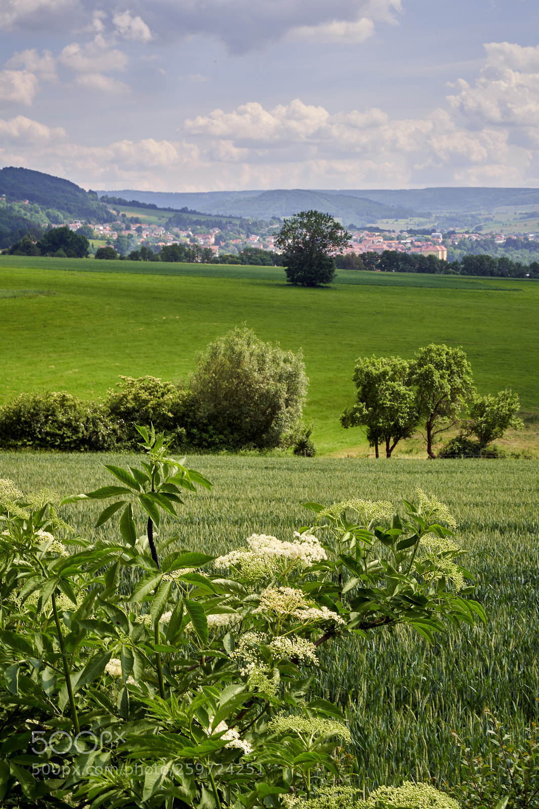 Sony a7 III sample photo. Rhön photography