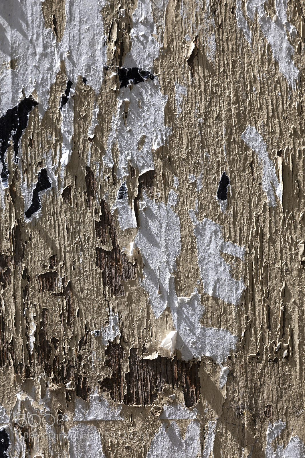 Canon EOS 5D Mark II sample photo. Cracked wood and peeling photography