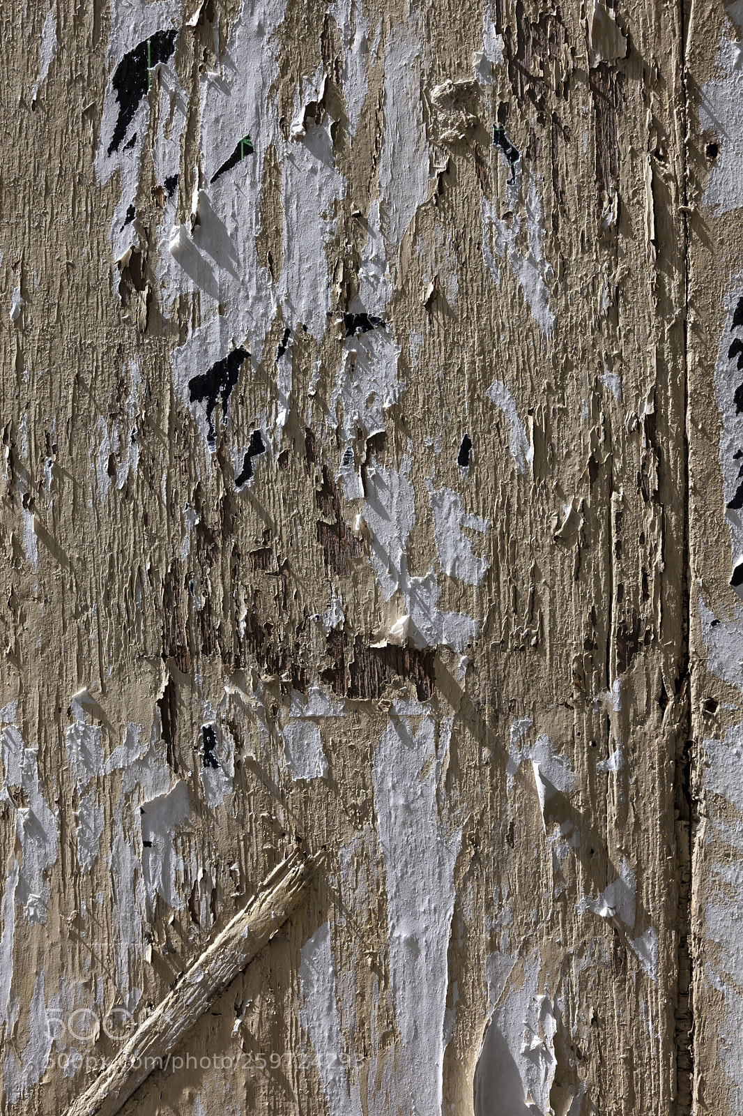Canon EOS 5D Mark II sample photo. Peeling paper cracked and photography