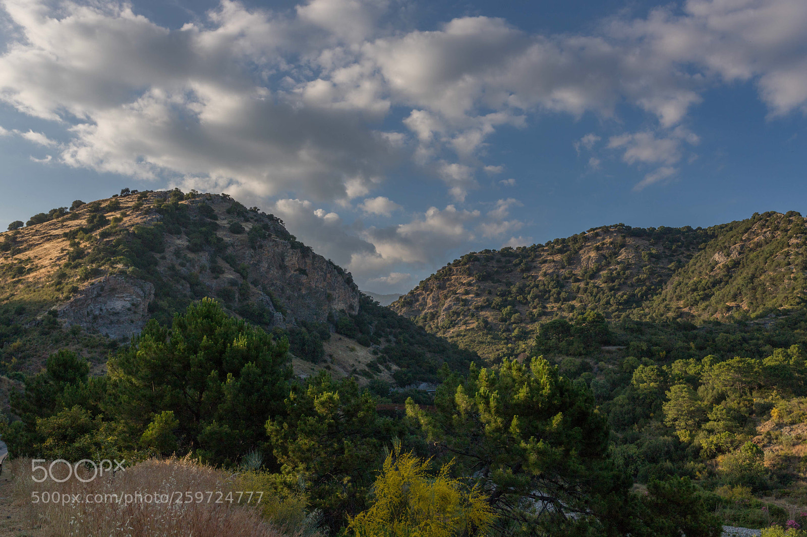 Canon EOS 6D Mark II sample photo. Camino de benahavís photography