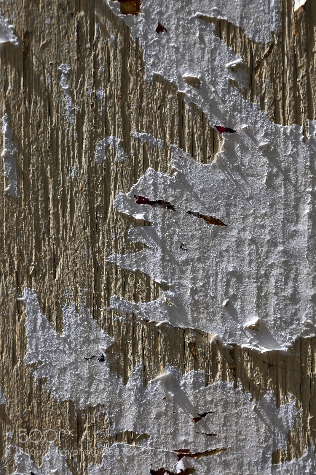 Canon EOS 5D Mark II sample photo. Cracked and peeling paper photography