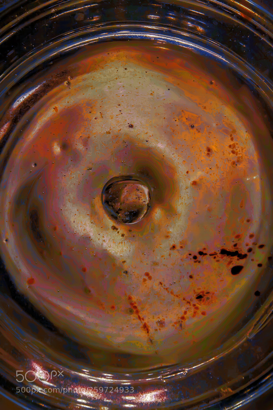 Canon EOS 50D sample photo. Cosmos in a dish photography
