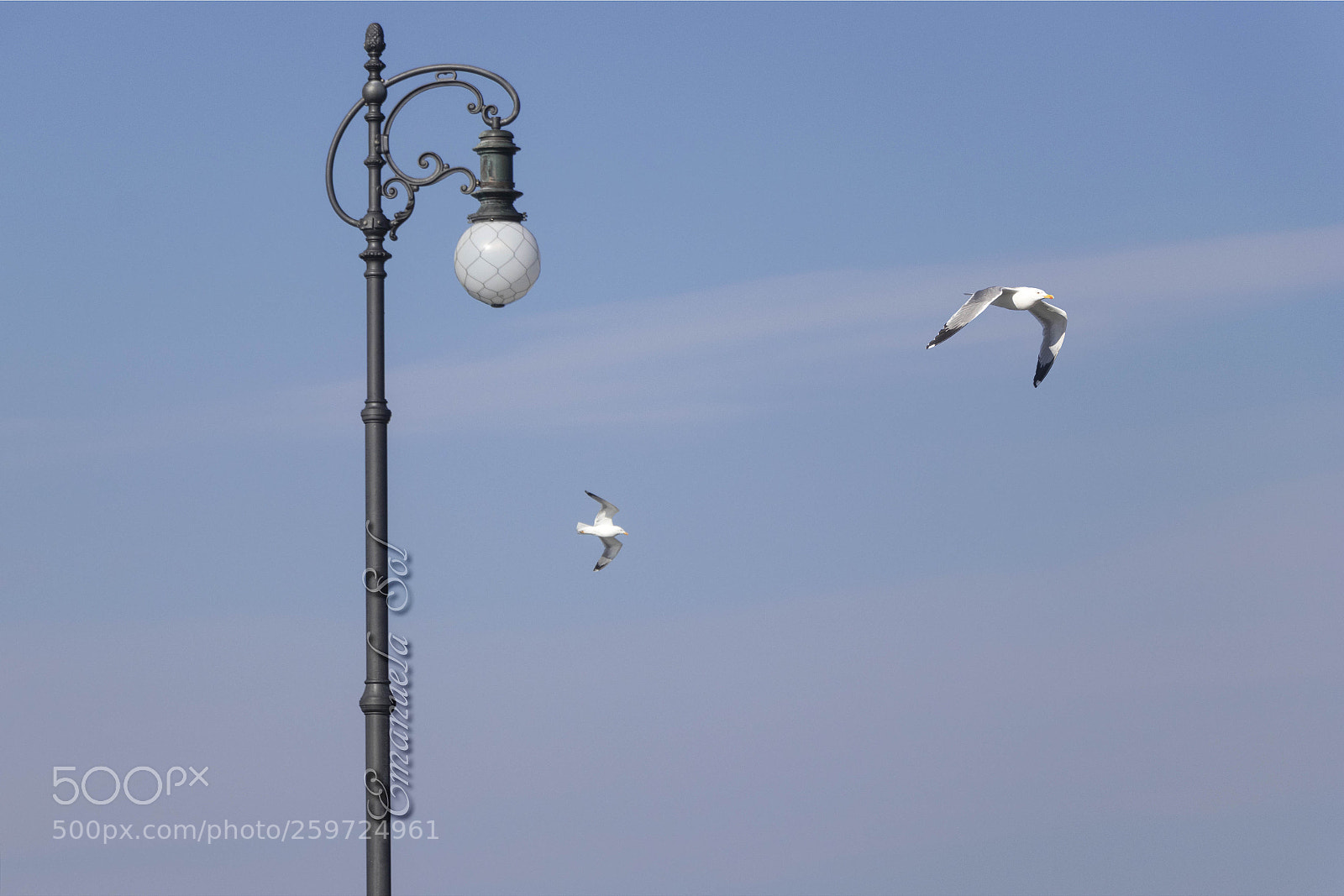 Canon EOS 80D sample photo. Floating in air... photography
