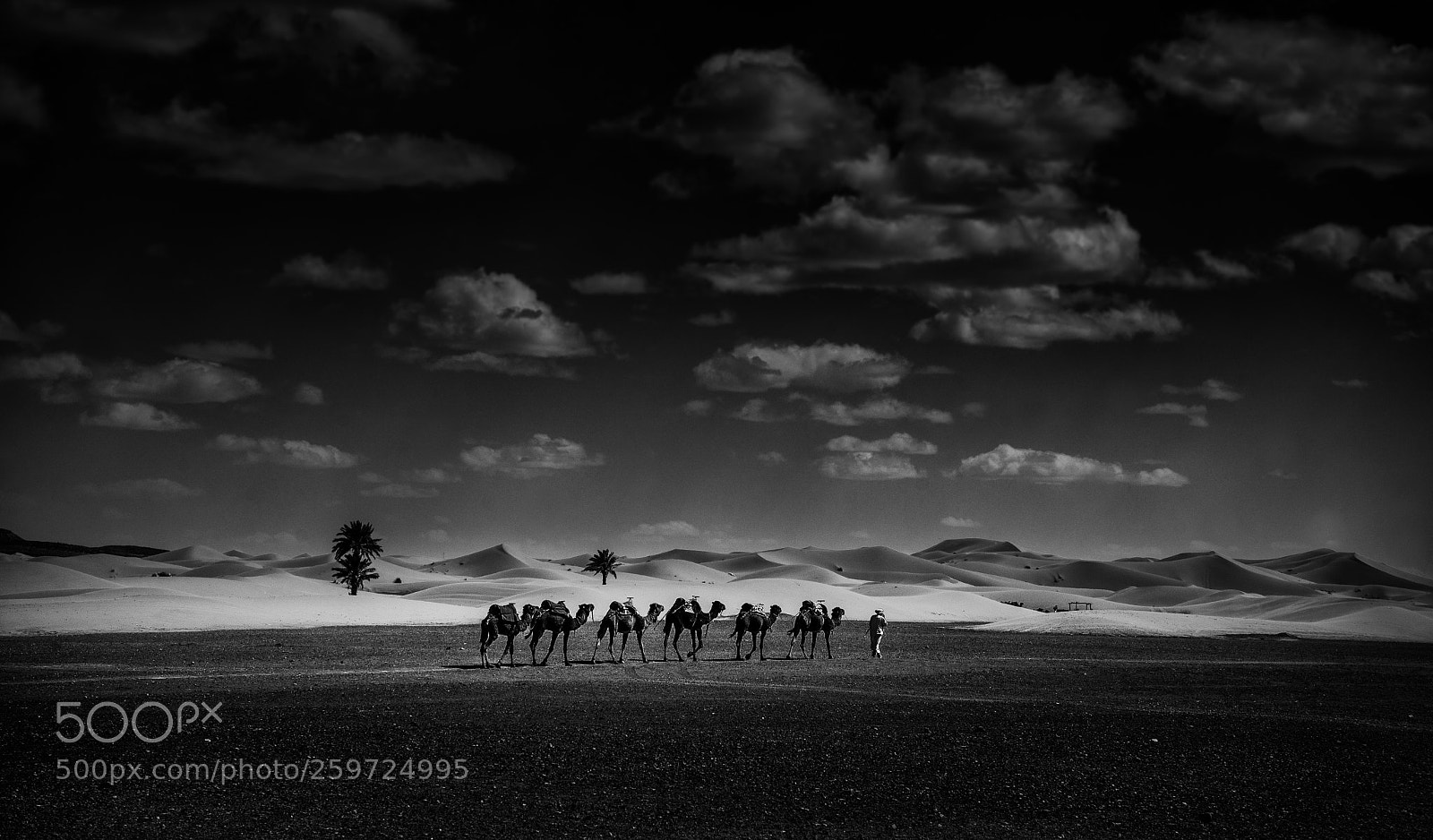 Sony a7 II sample photo. The caravan photography
