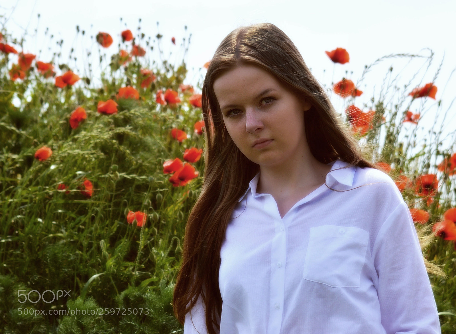 Nikon D3200 sample photo. Charlotte photography