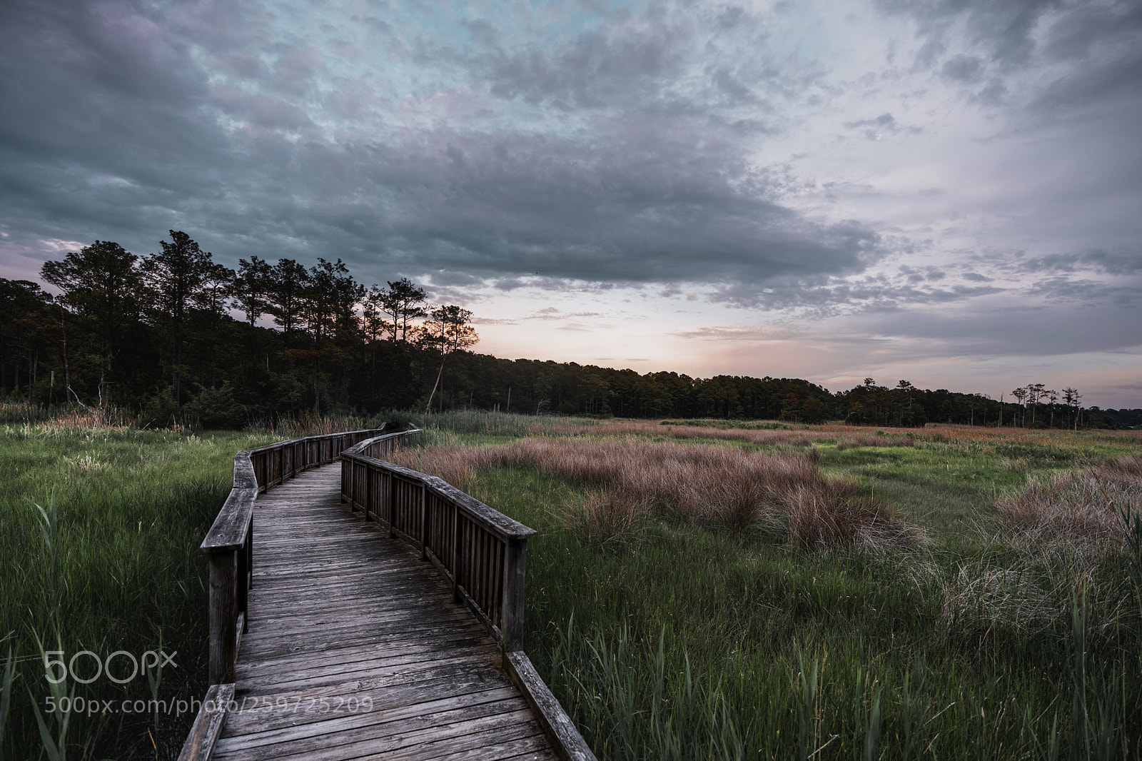 Sony a7 II sample photo. Denbigh park, new port photography