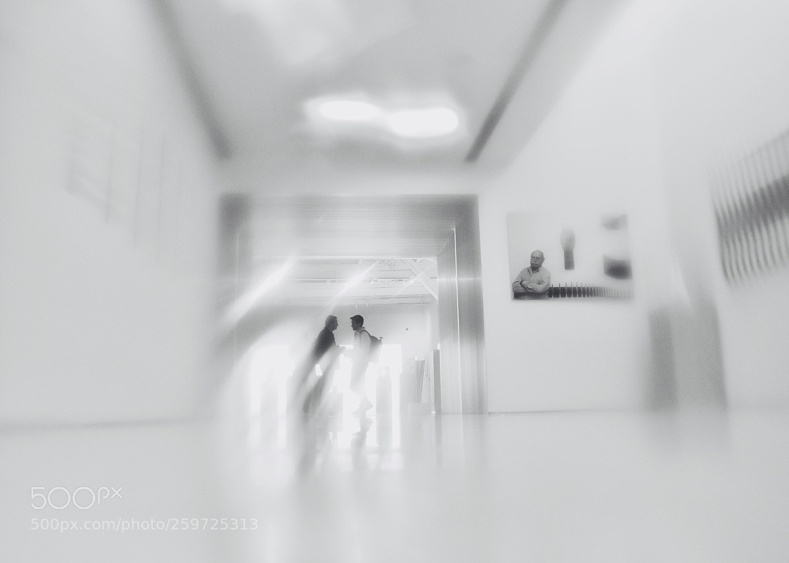 Nikon D5500 sample photo. Rally solidario guadalajara museo photography