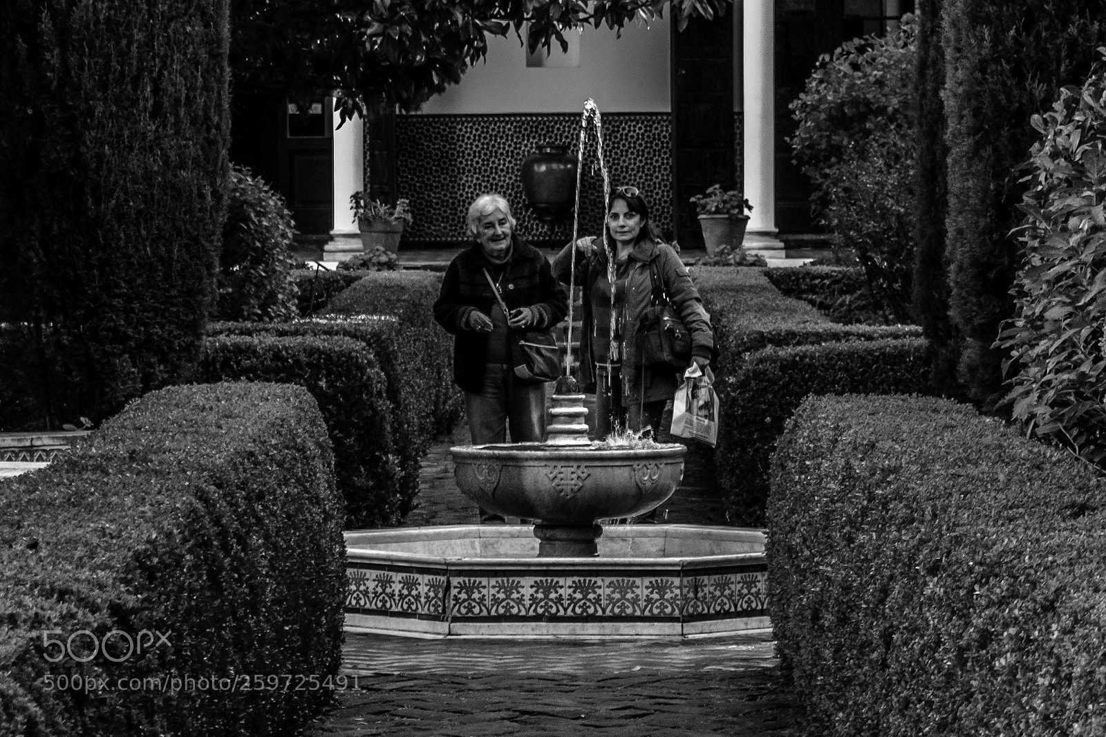 Nikon D5300 sample photo. The fountain photography