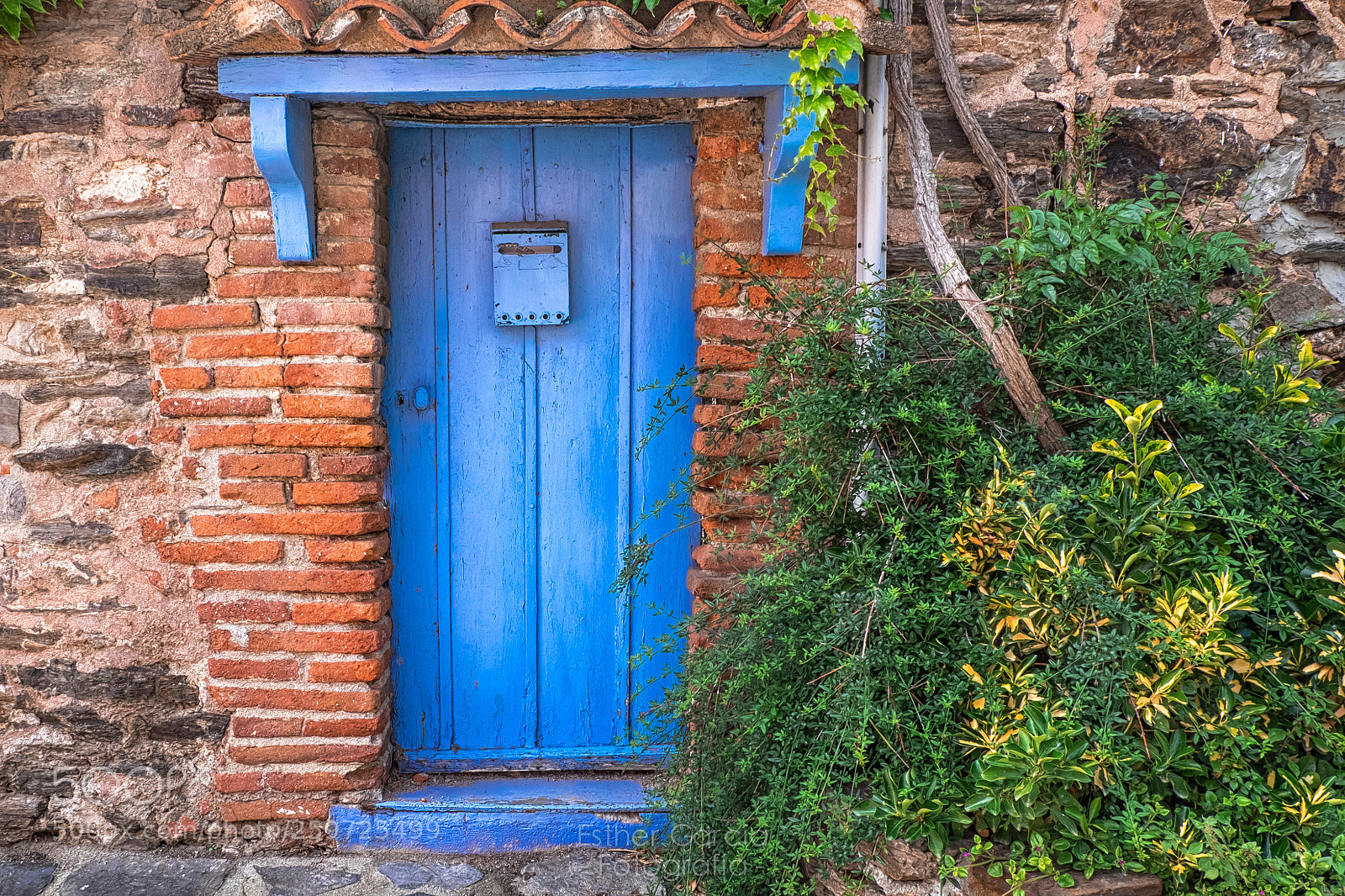 Fujifilm X-T1 sample photo. Door blue wo no. photography