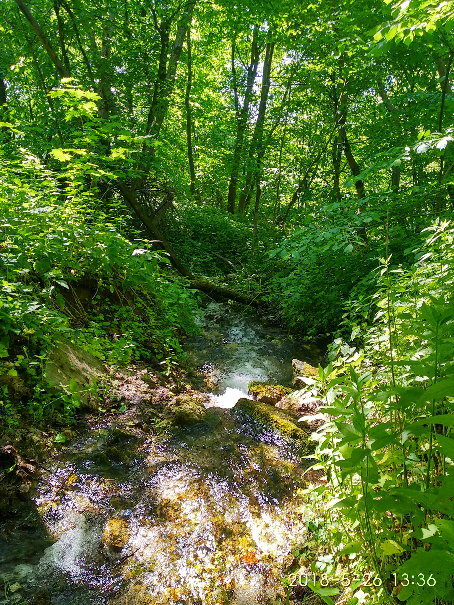 Xiaomi Redmi 5 sample photo. Spring in the village, stupino district, moscow region. photography