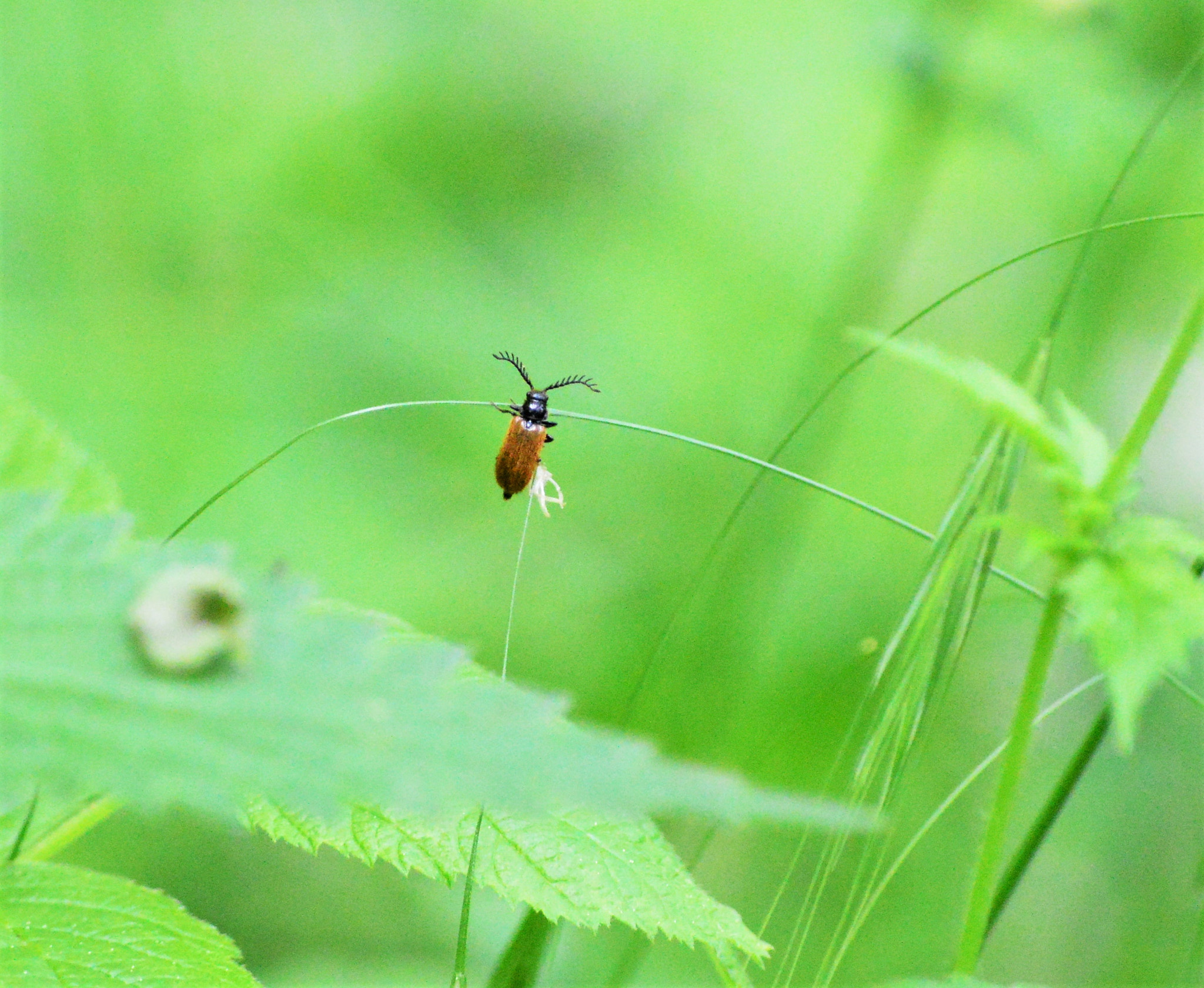 Nikon D3200 sample photo