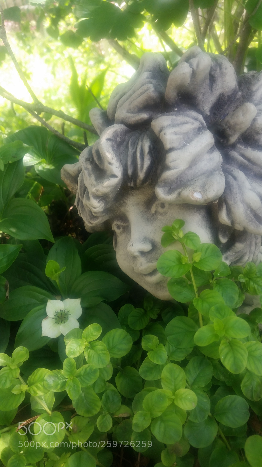 Samsung Galaxy S5 sample photo. ? photography